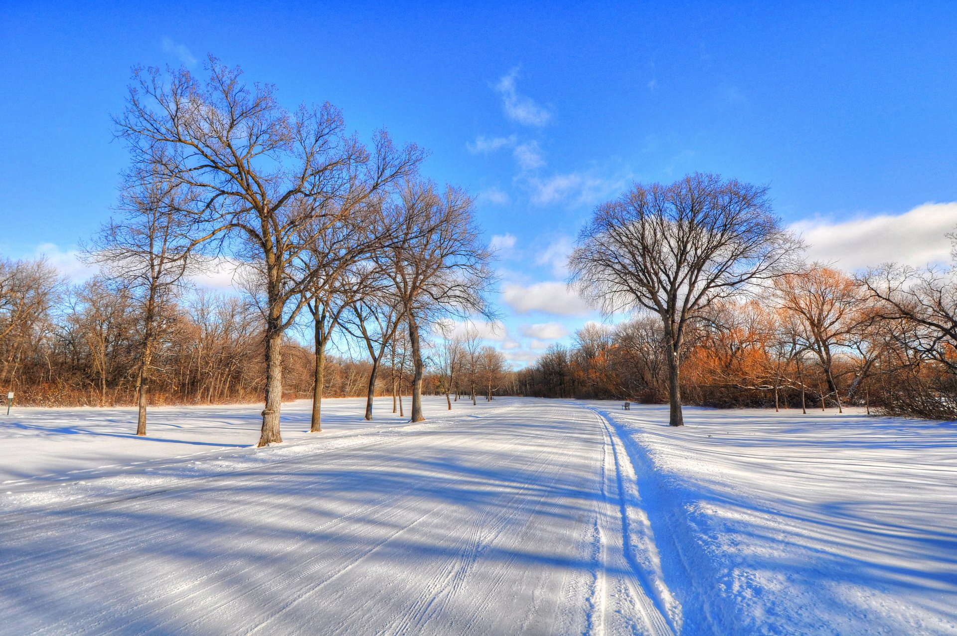 winter snow road sky clouds frost tree landscape