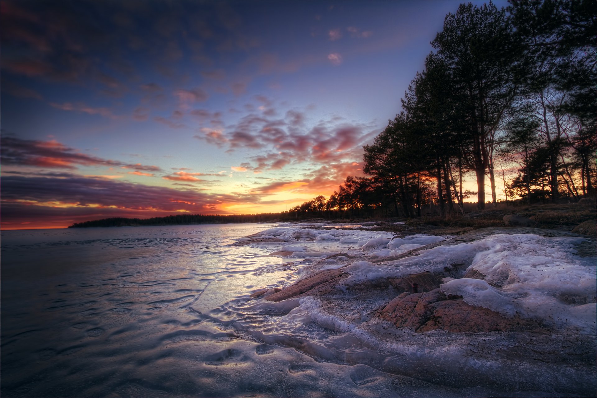 bosque árboles lago hielo invierno