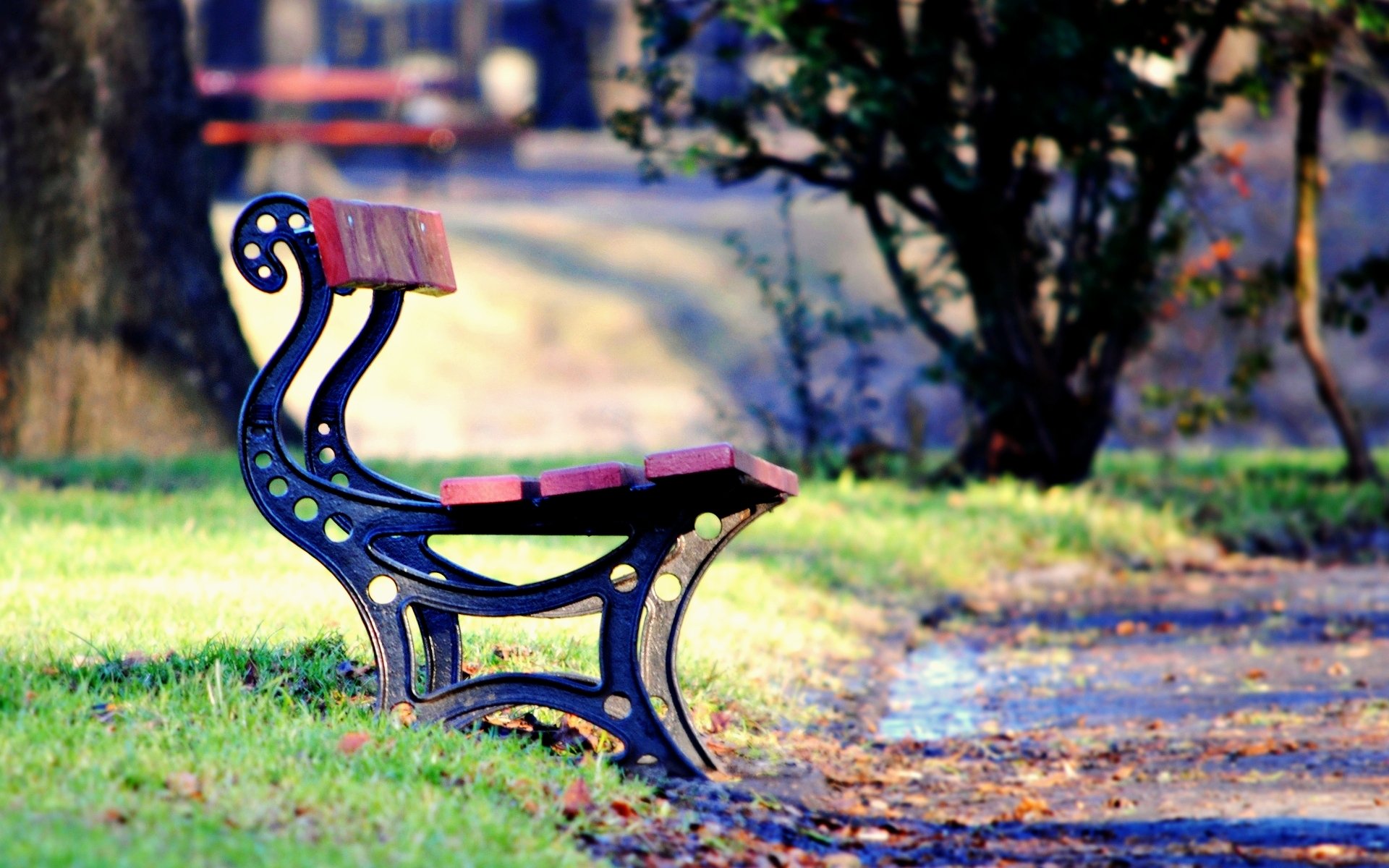 humeurs banc banc lave banc parc place feuilles chute des feuilles herbe verdure chemin automne arbres arbre feuillage fond d écran écran large plein écran écran large écran large