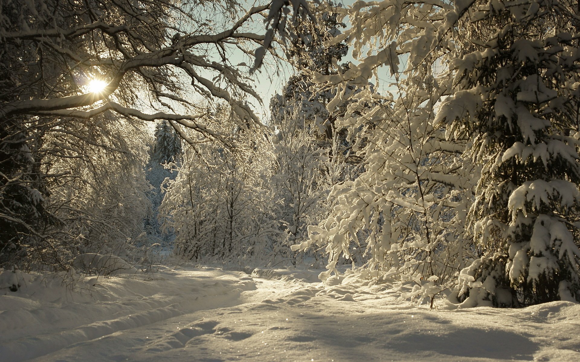 winter snow landscape