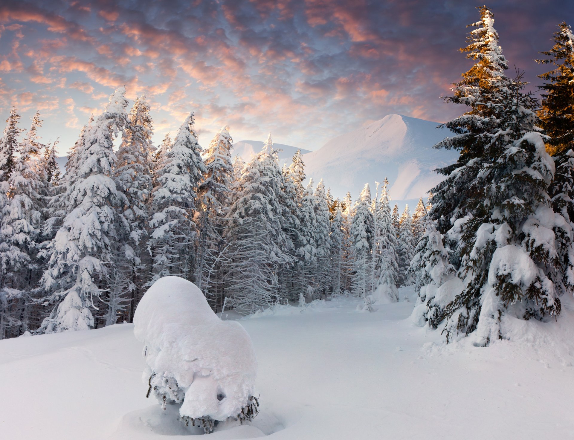 bosque nieve invierno montañas derivas nubes