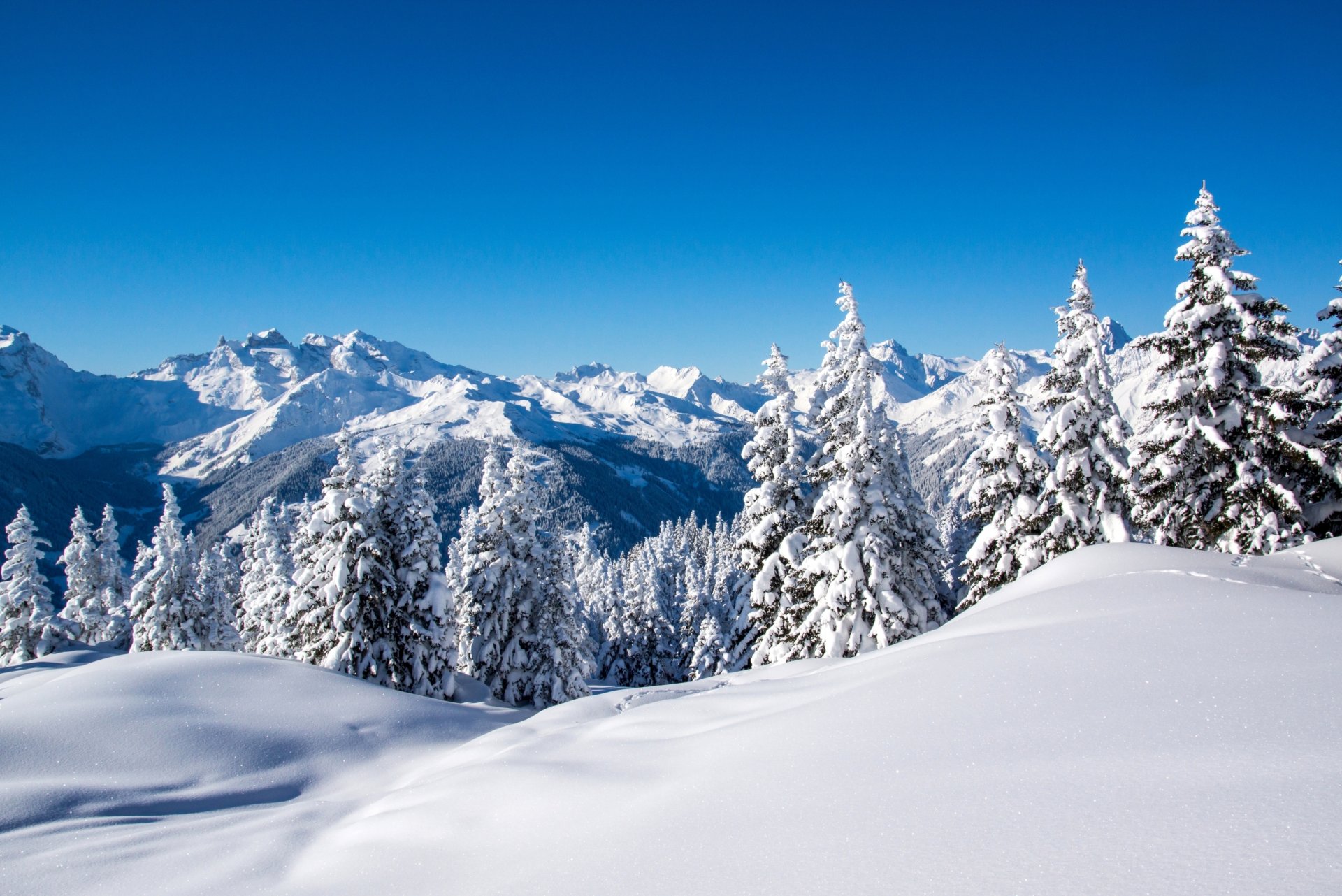 winter berge schnee bäume tannen himmel blau natur landschaft