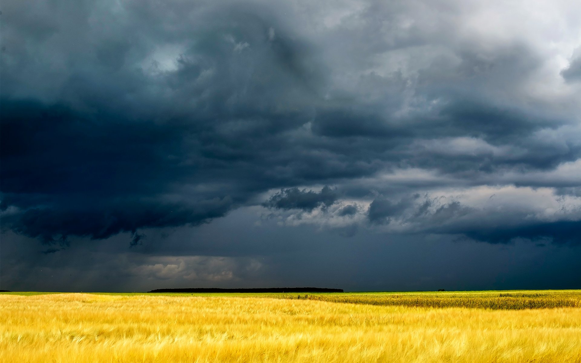 nuages champ jaune sombre herbe