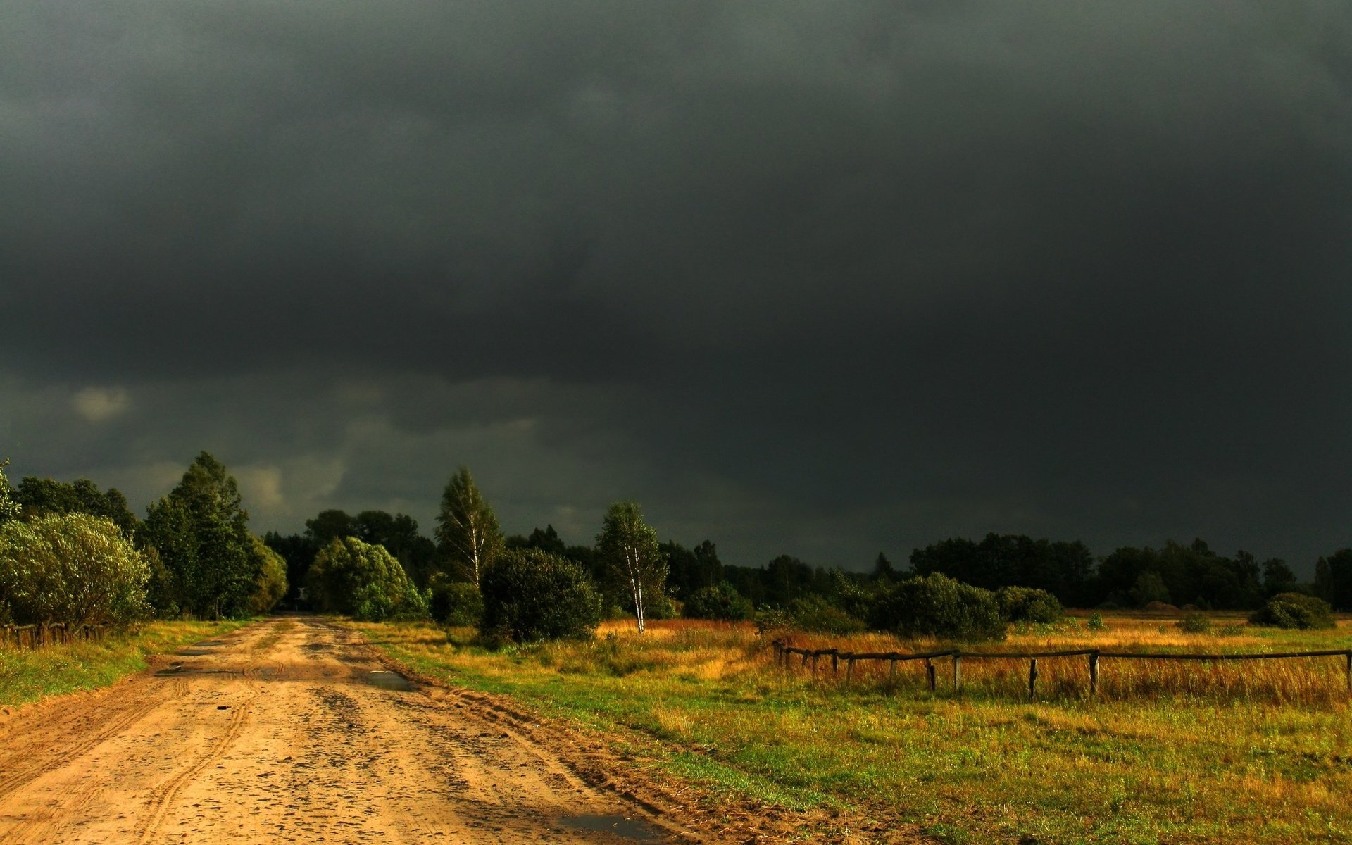 ummer the field forest tree road fence sky cloud