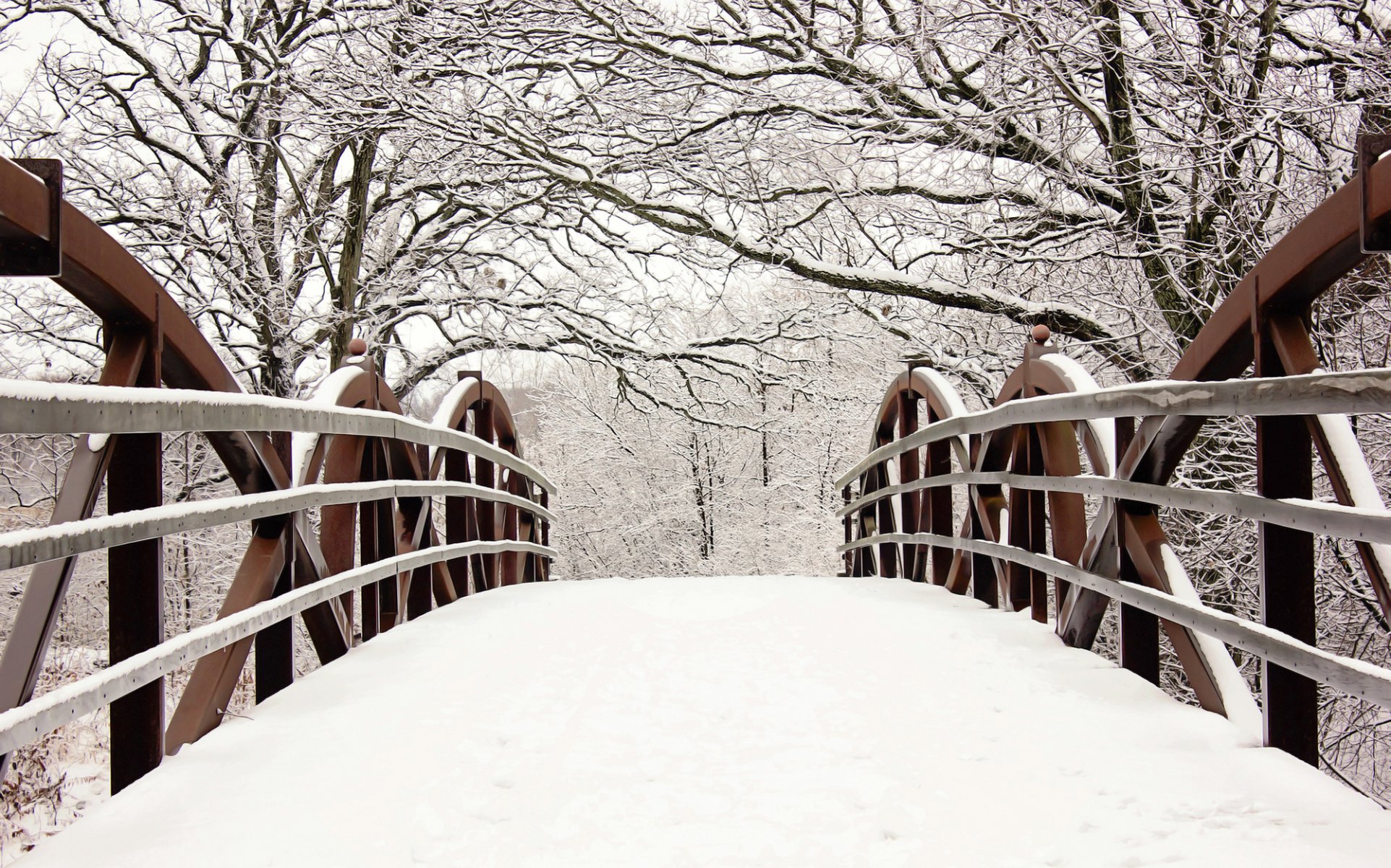 puente valla árboles ramas nieve invierno naturaleza