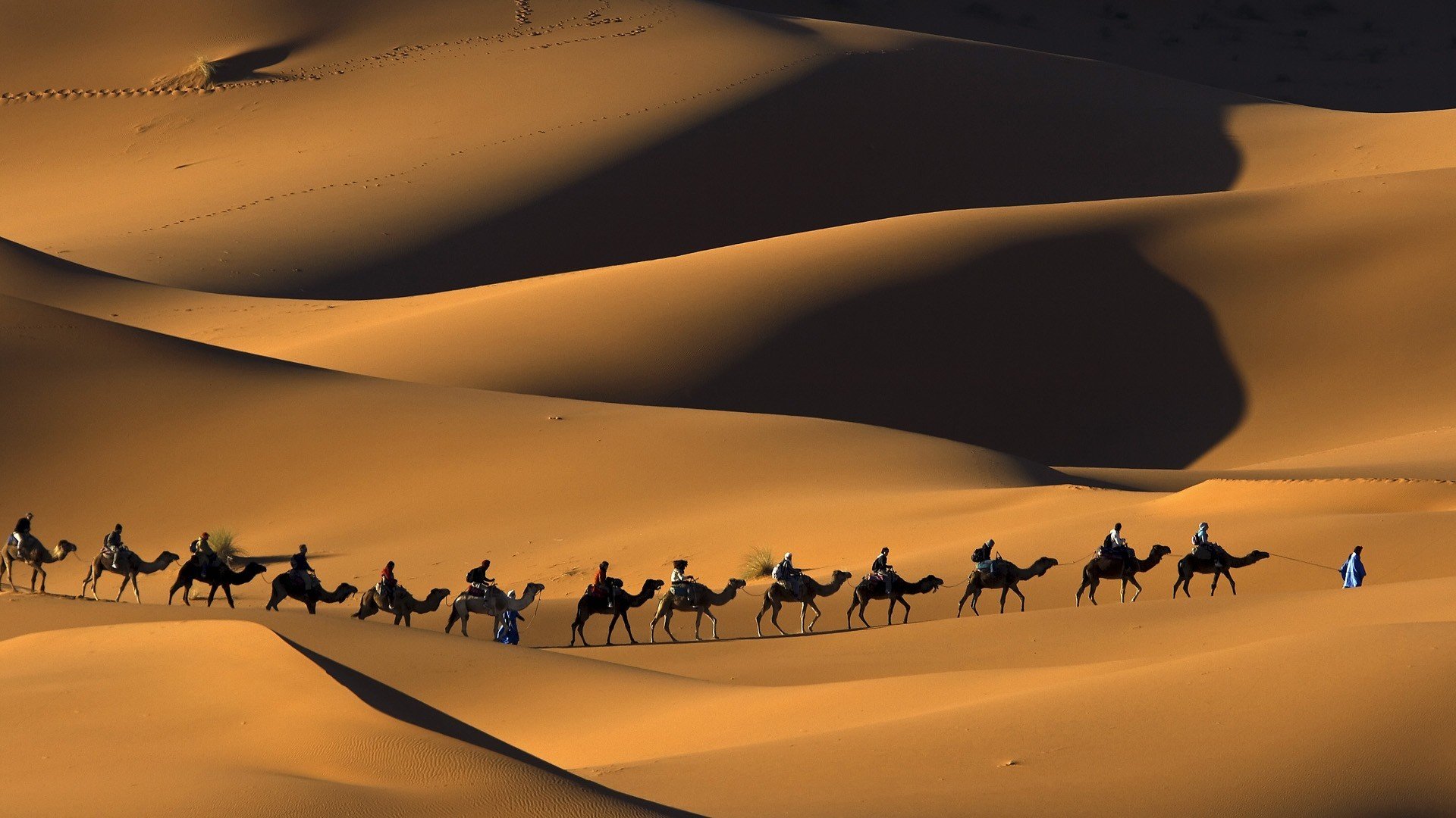 sand natur wüste kamele wohnwagen sahara marokko