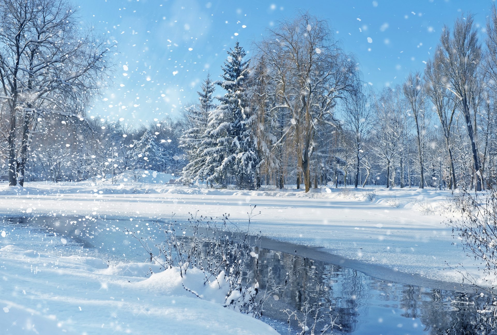 naturaleza paisaje cielo árboles invierno nieve lago