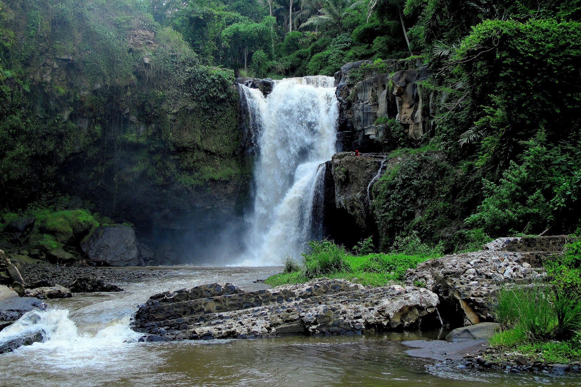 tegenungan cascata bali indonesia cascata rocce giungla fiume foresta