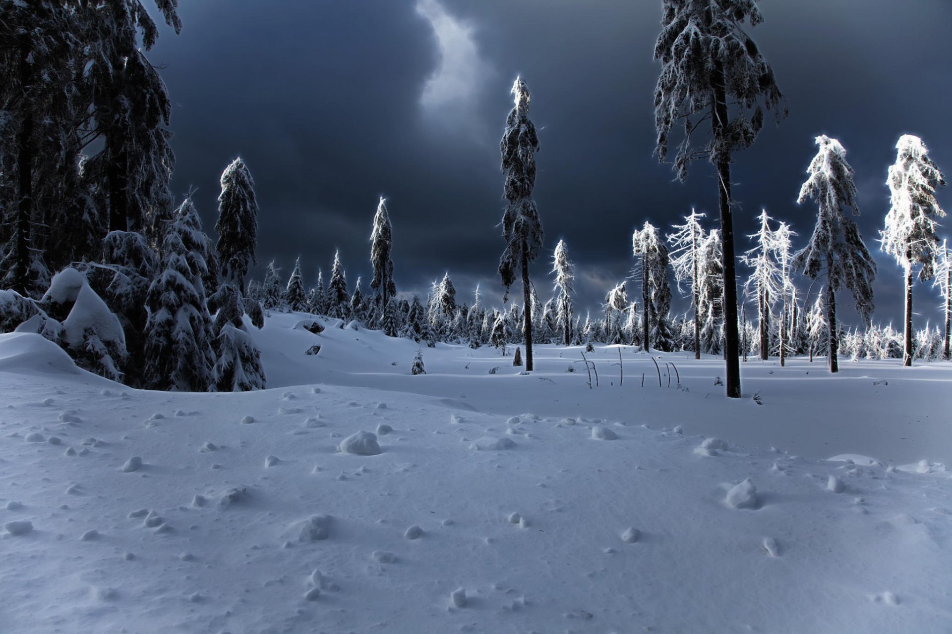 winter apocalypse winter snow drift