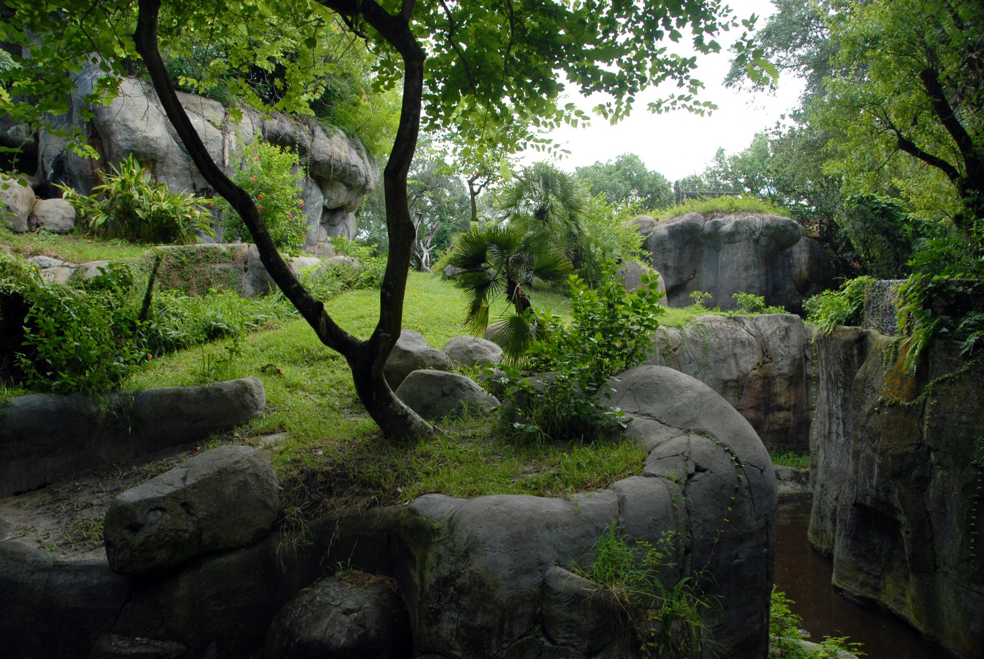 rocas agua árboles bosque hierba