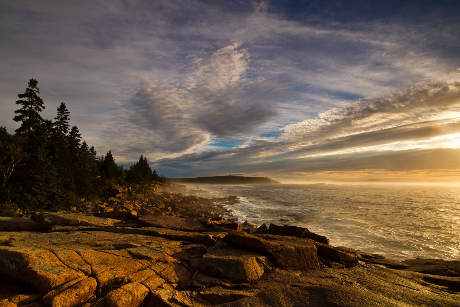 nature forest beach stones sea waves sky