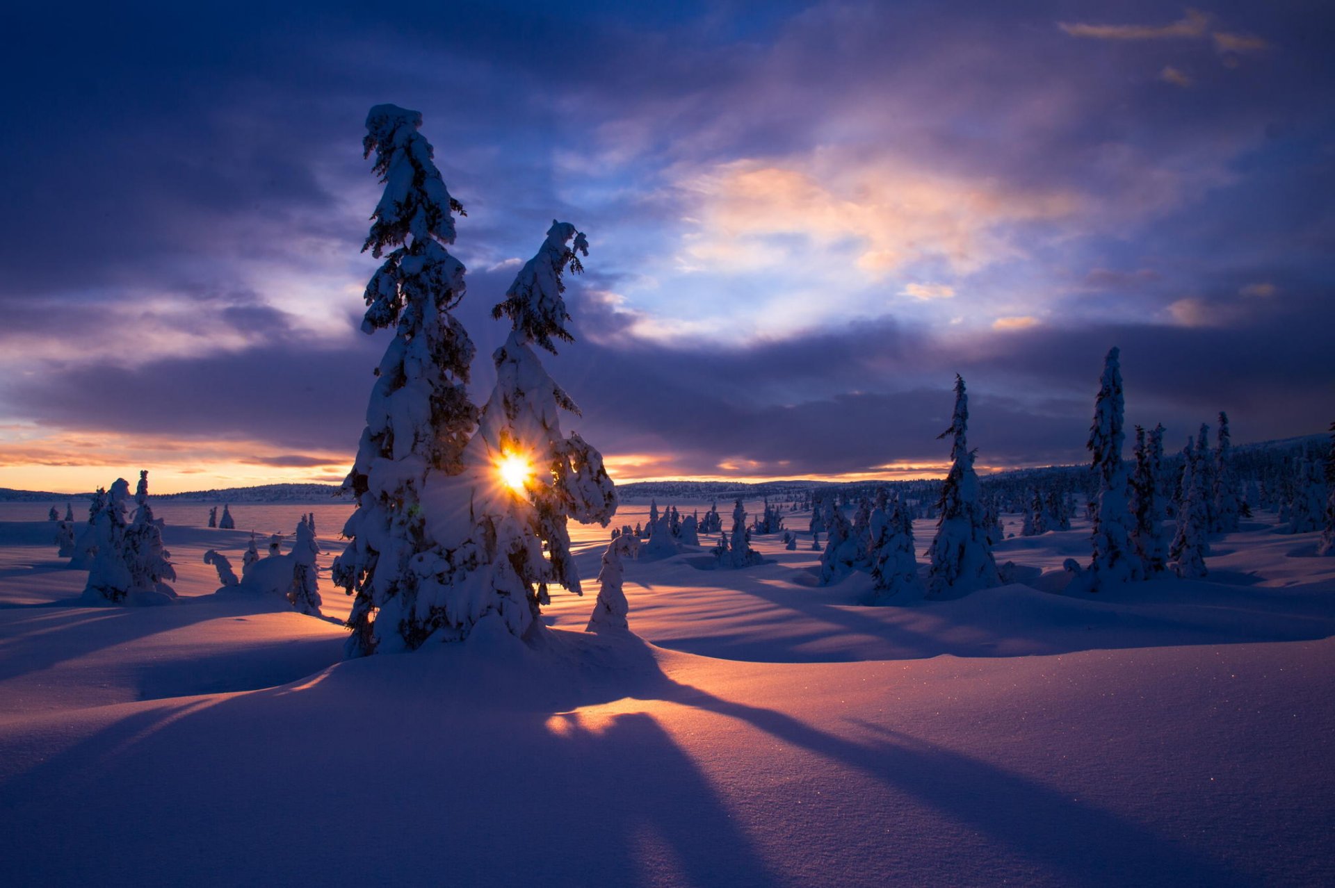 invierno nieve escarcha sol