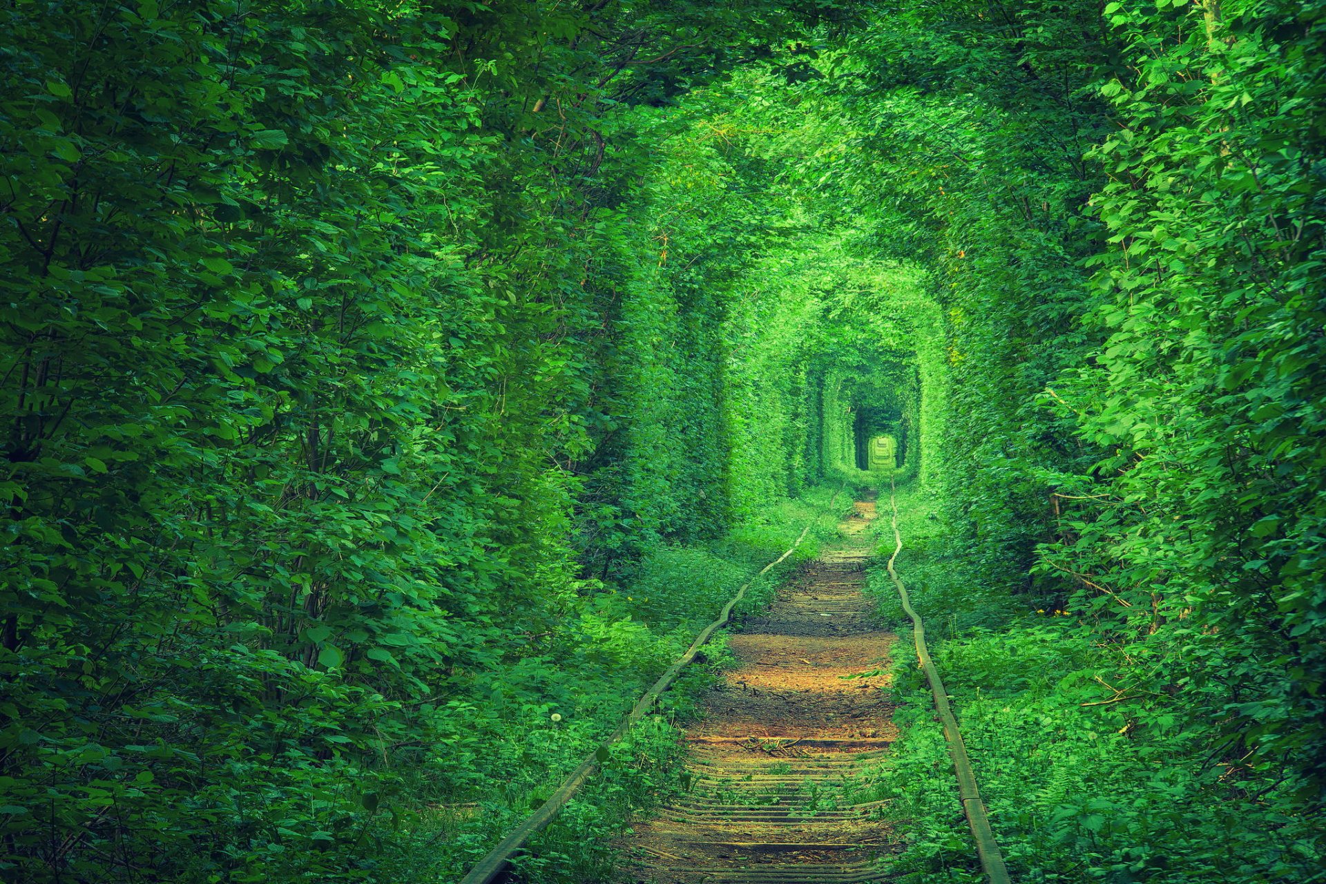 ukraine liebestunnel straßenbahngleise eisenbahnstraße laubbäume natur