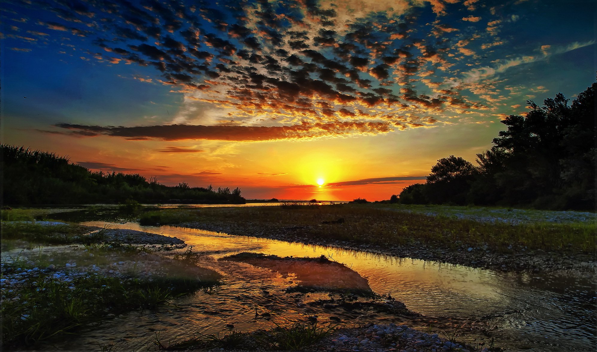 bosque río sol amanecer