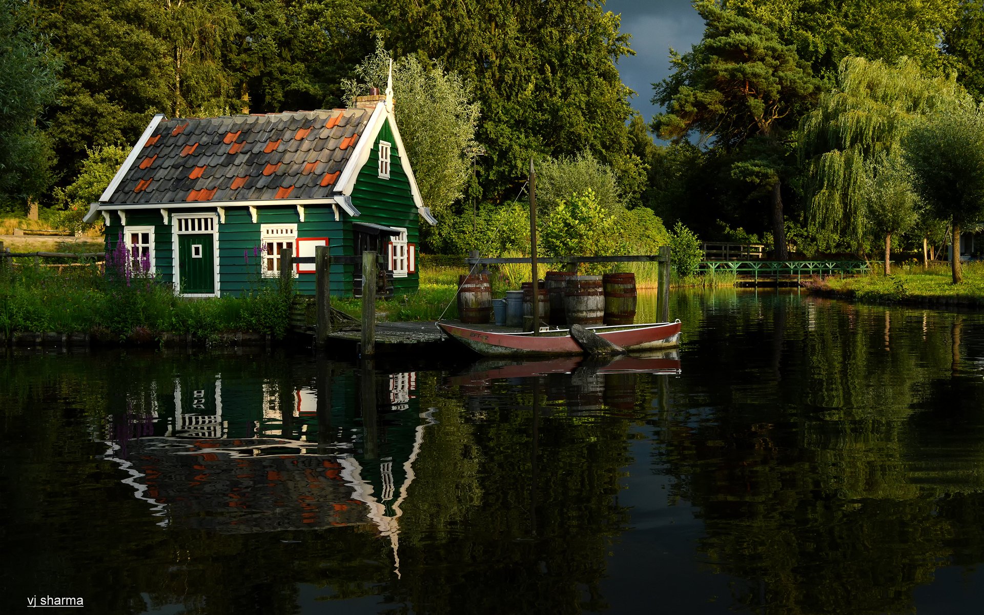 nature summer tree river pond park boat house