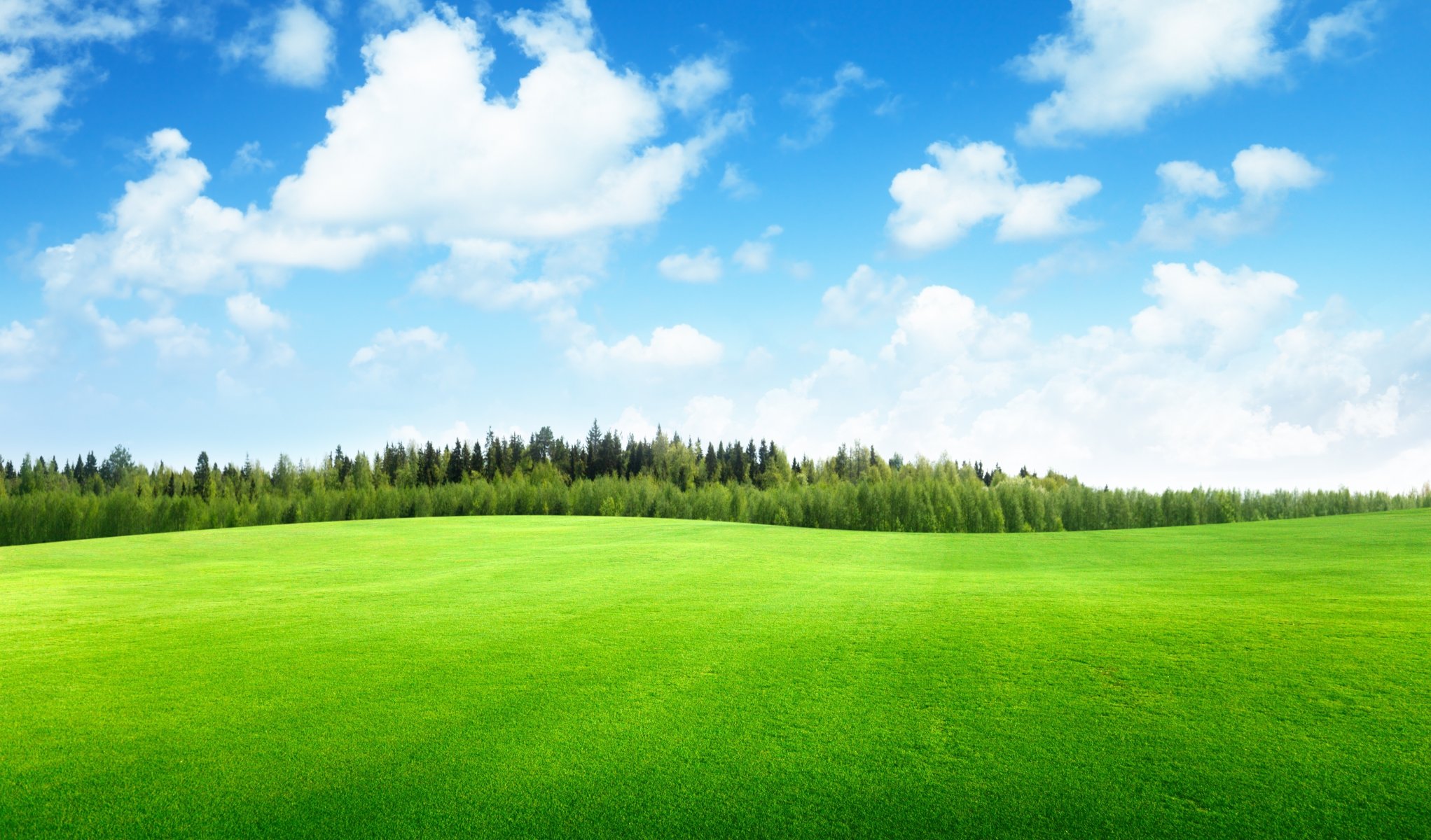 campo de hierba cielo nubes árboles paisaje naturaleza campo de hierba hermoso