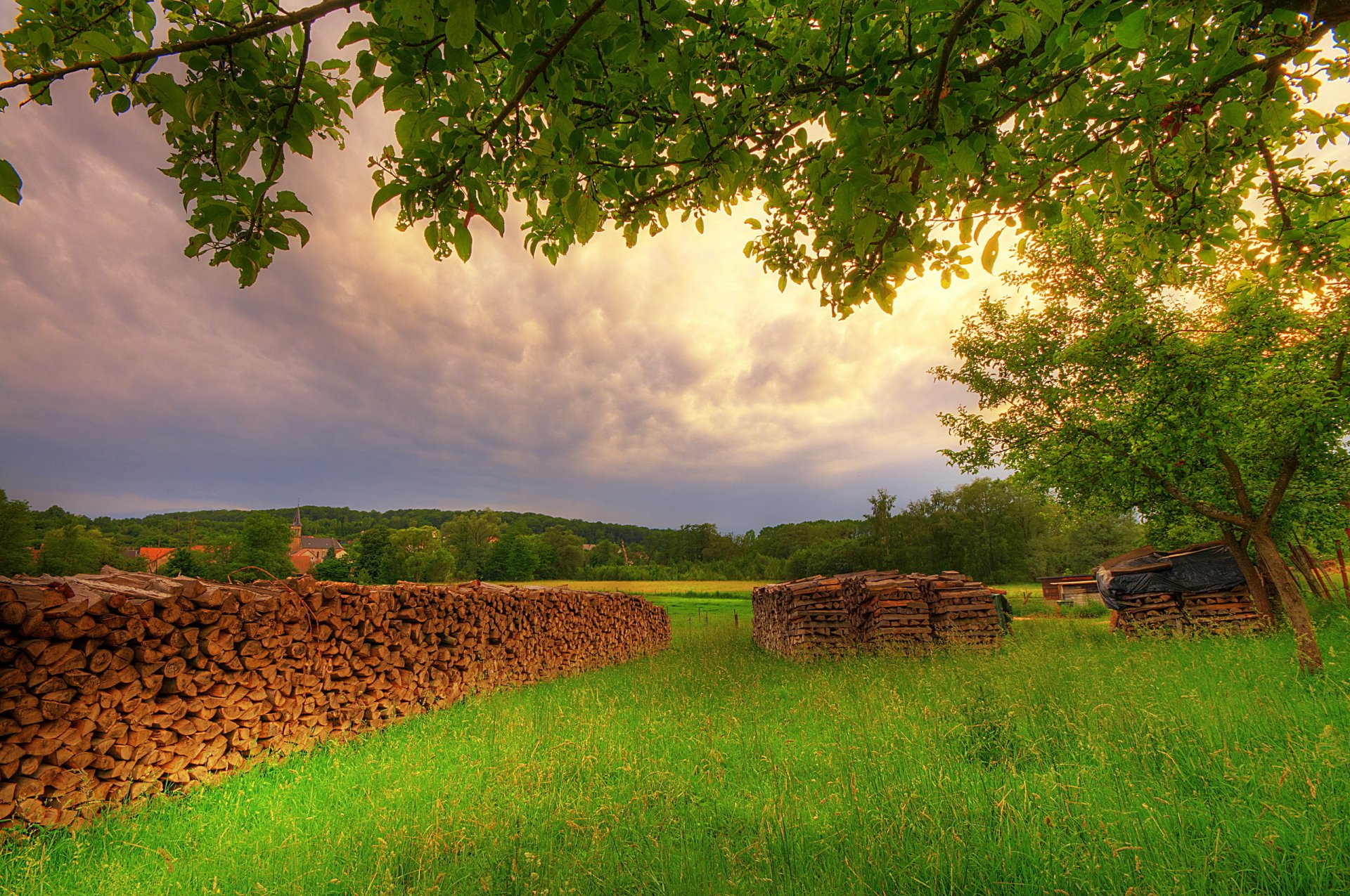 été verdure clairière forêt maisons framboise bois de chauffage