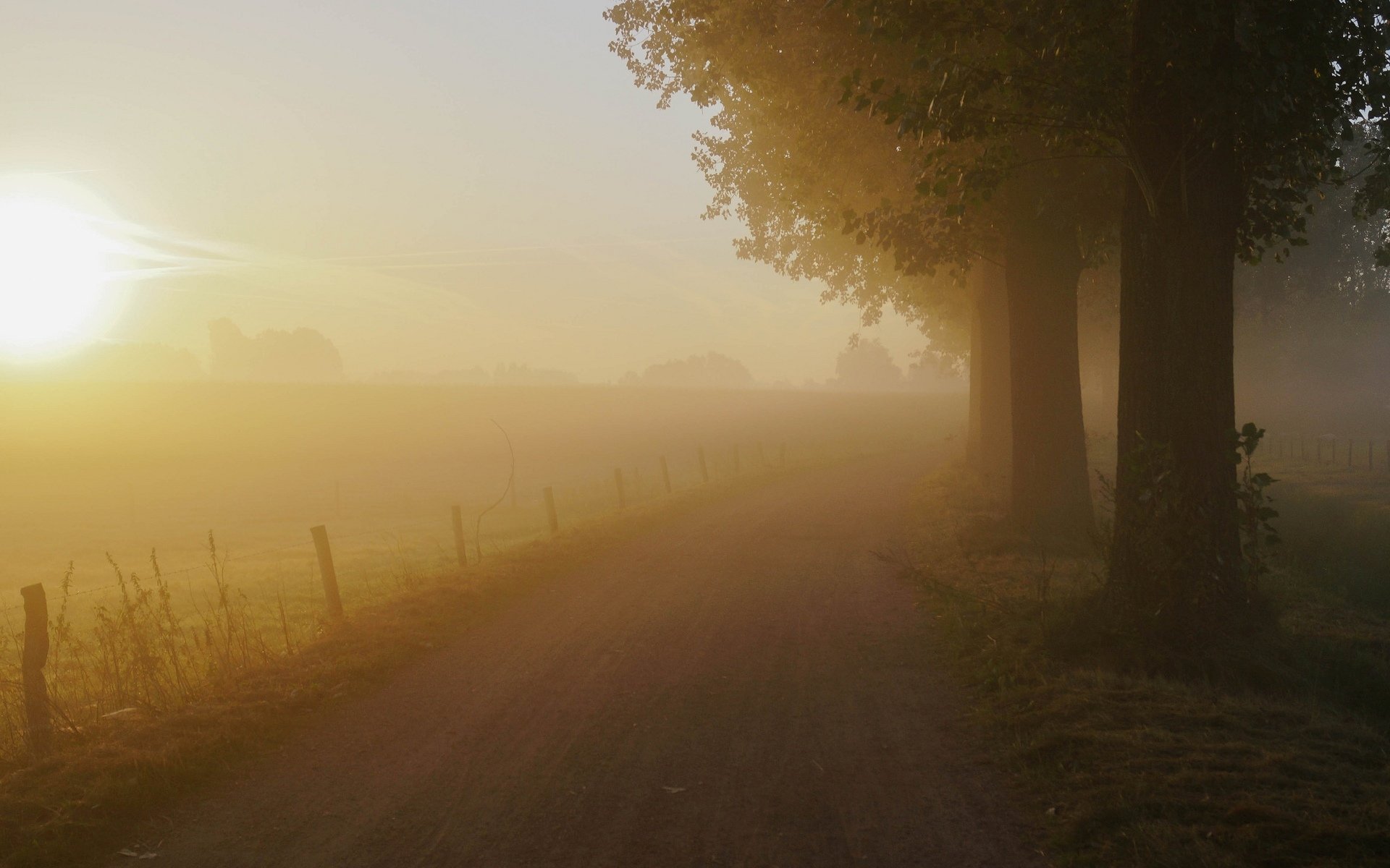 natura paesaggio albero alberi foglie volantini verde erba sentiero sentiero recinzione recinzione sfondo carta da parati widescreen schermo intero widescreen widescreen