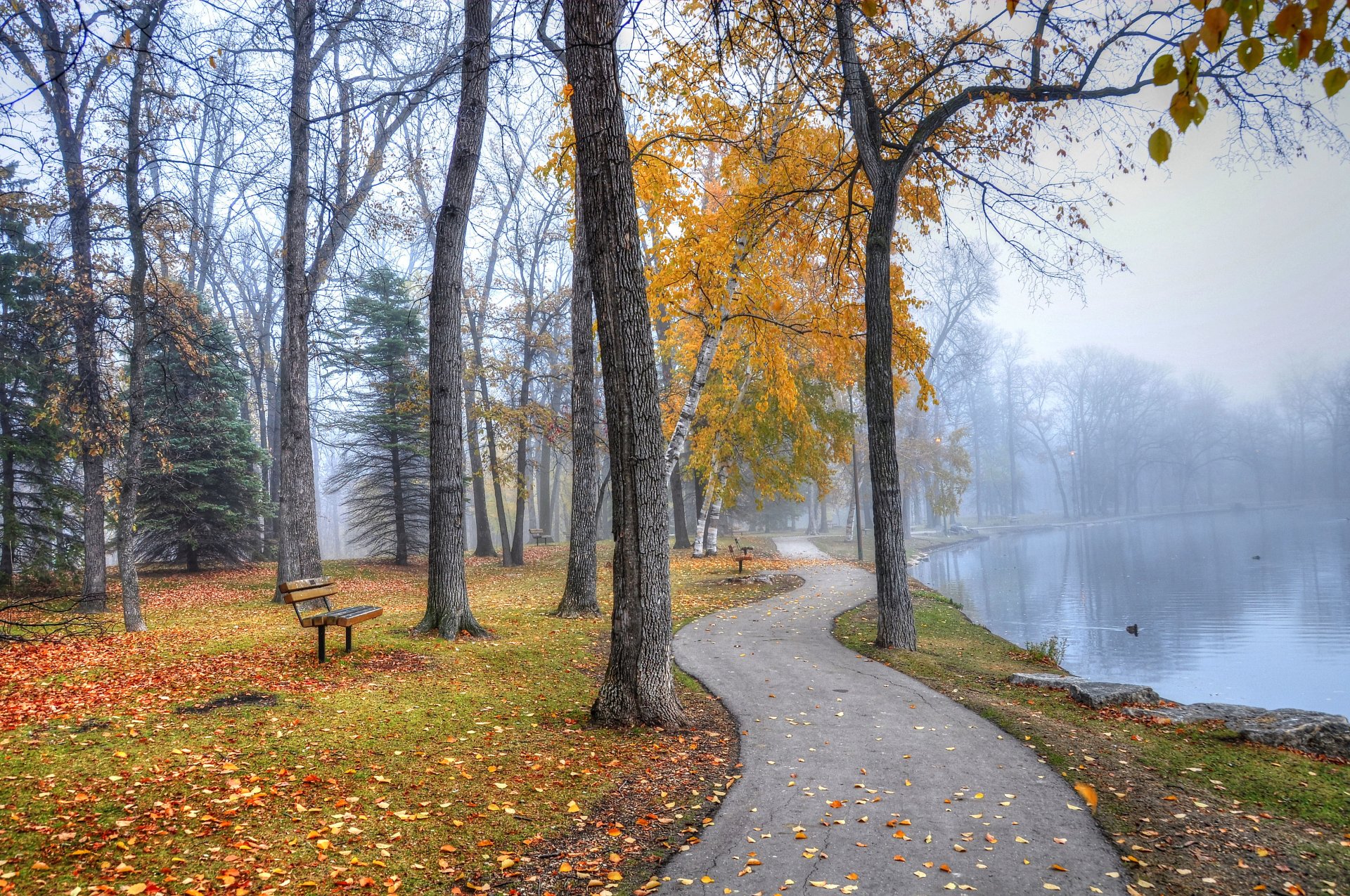 park gehweg bänke see herbst