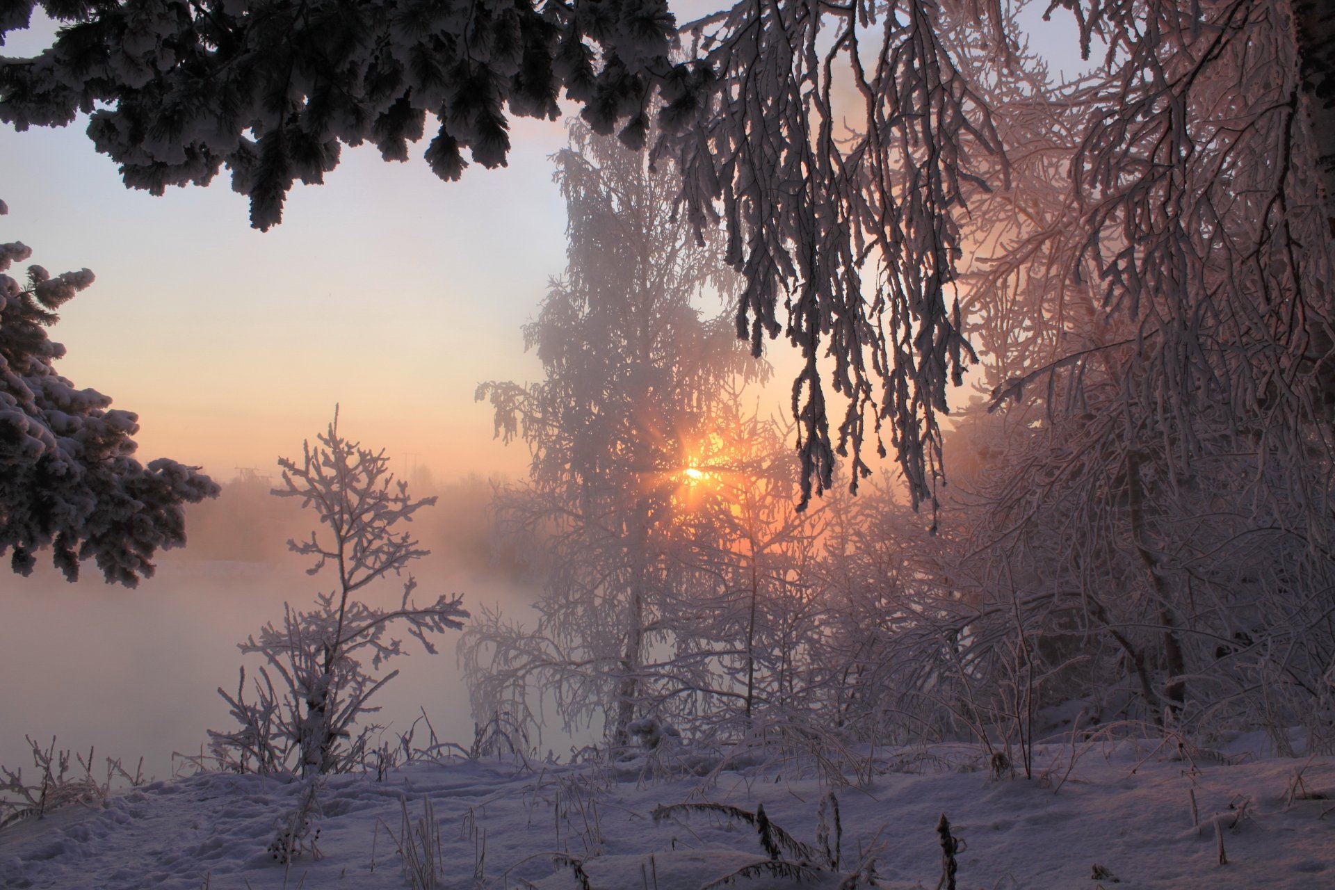 zima poranek las śnieg słońce promienie