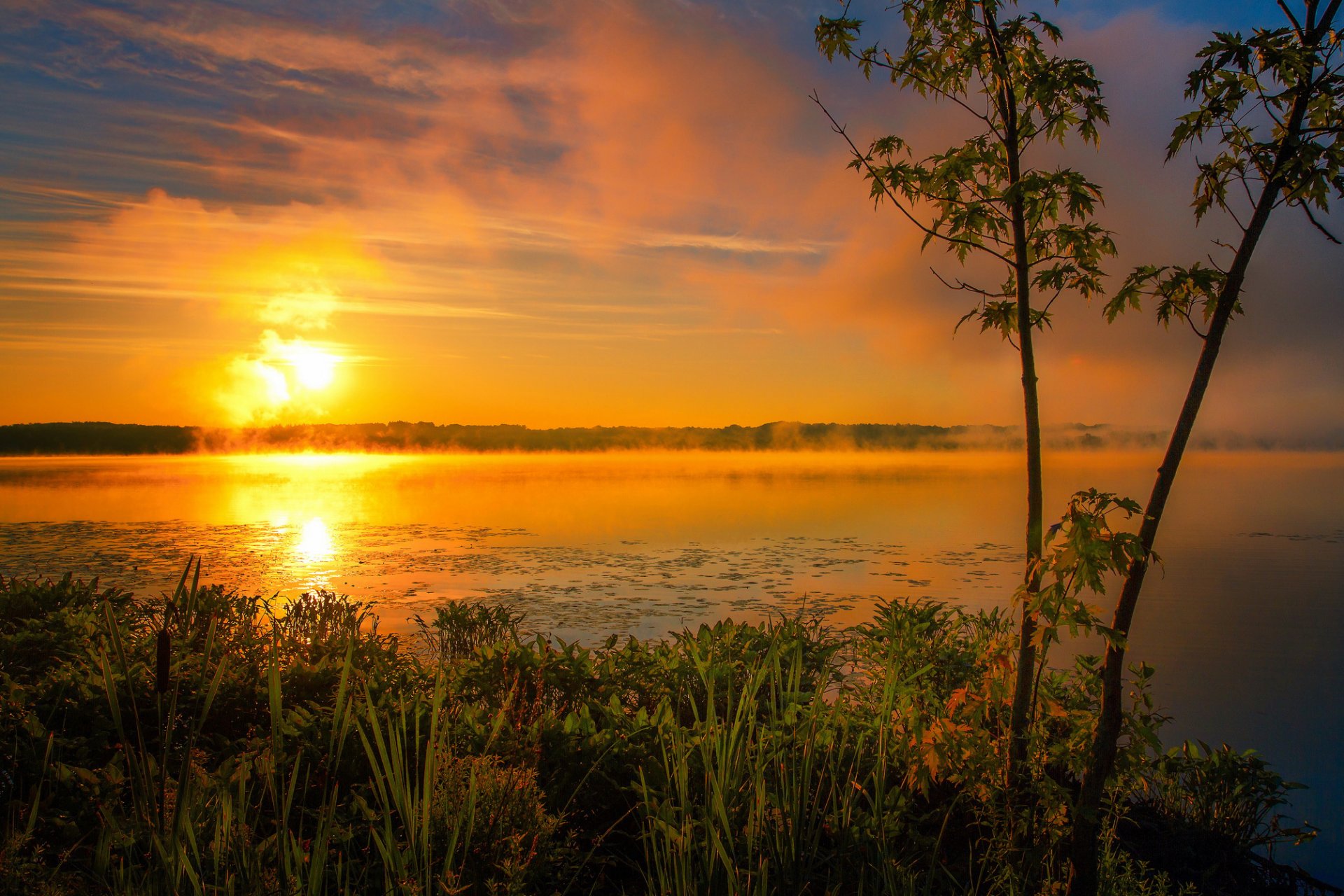 sommer see morgen nebel sonne sonnenaufgang