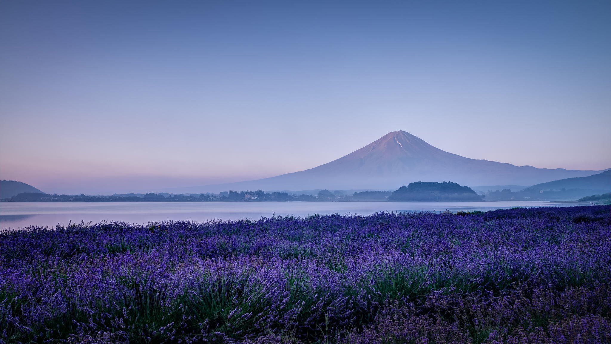 japan fujiyama fuji berg vulkan see lavendel blumen feld natur morgen