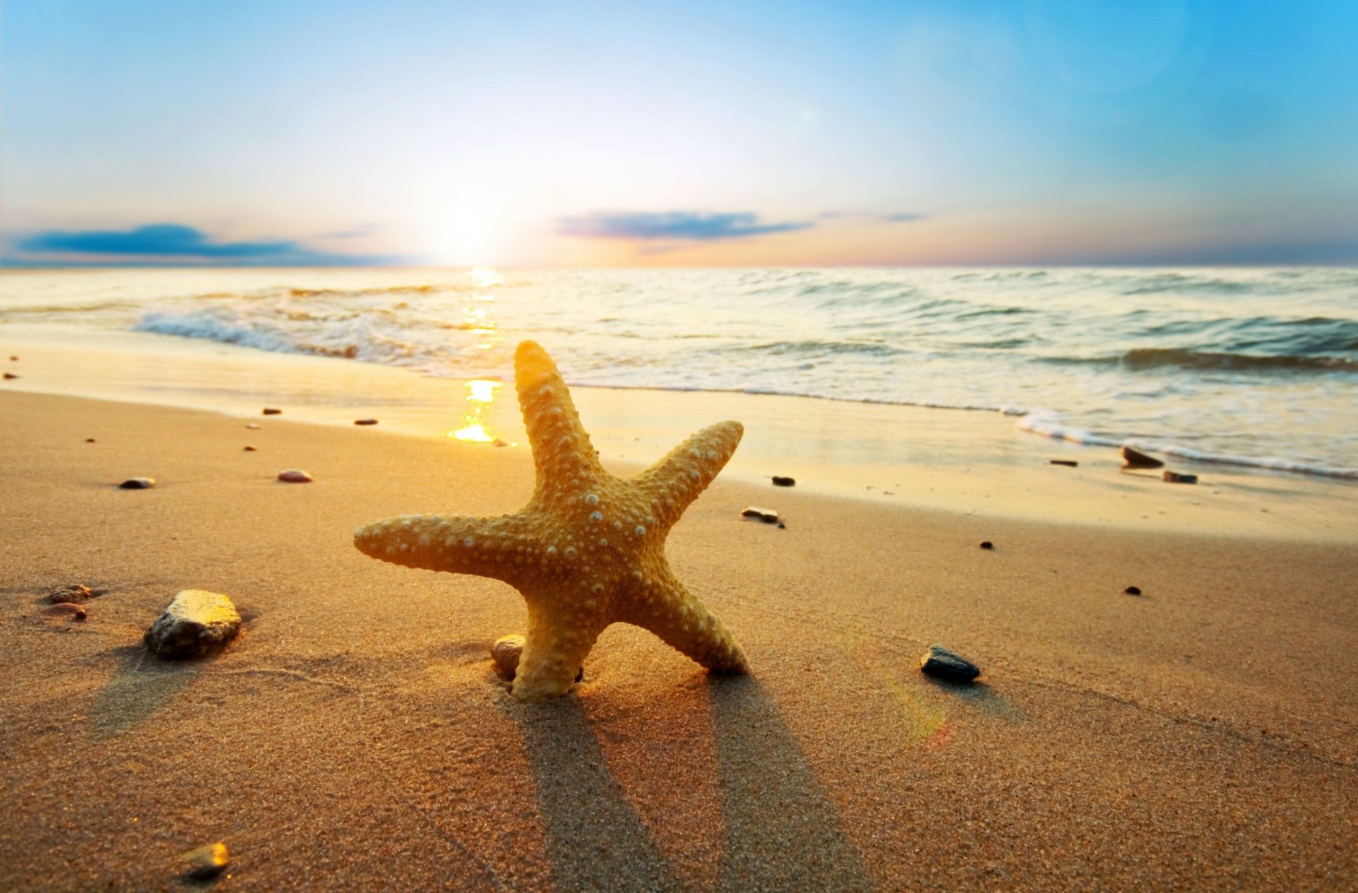 nature starfish sea river wave water beach sand rocks pebbles sun background wallpaper widescreen fullscreen widescreen