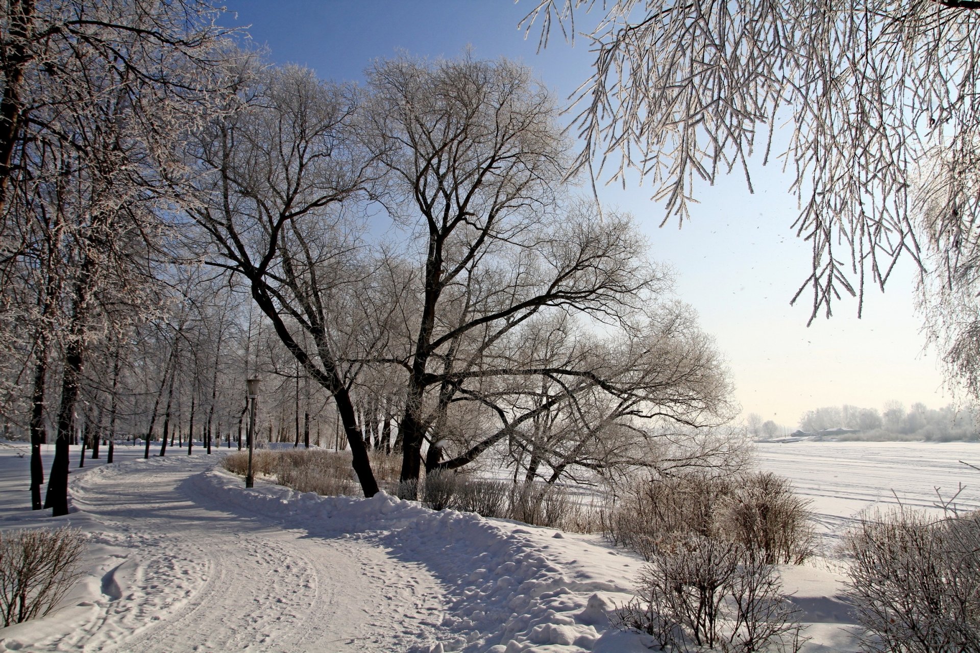 invierno carretera nieve árboles naturaleza foto