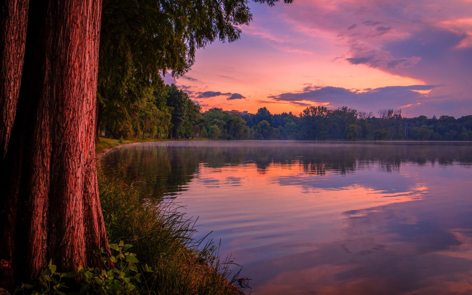 wald see sonnenuntergang