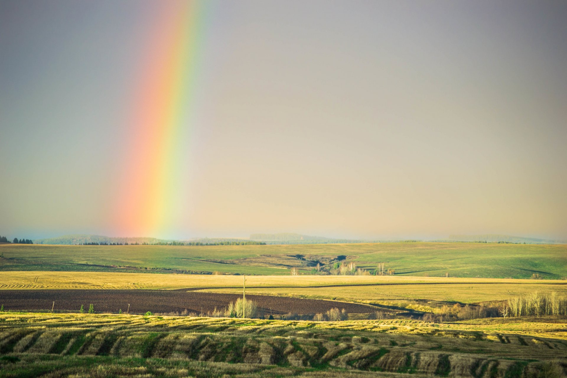 campos verano arco iris belleza naturaleza cielo árboles luz estepa morgendorfer