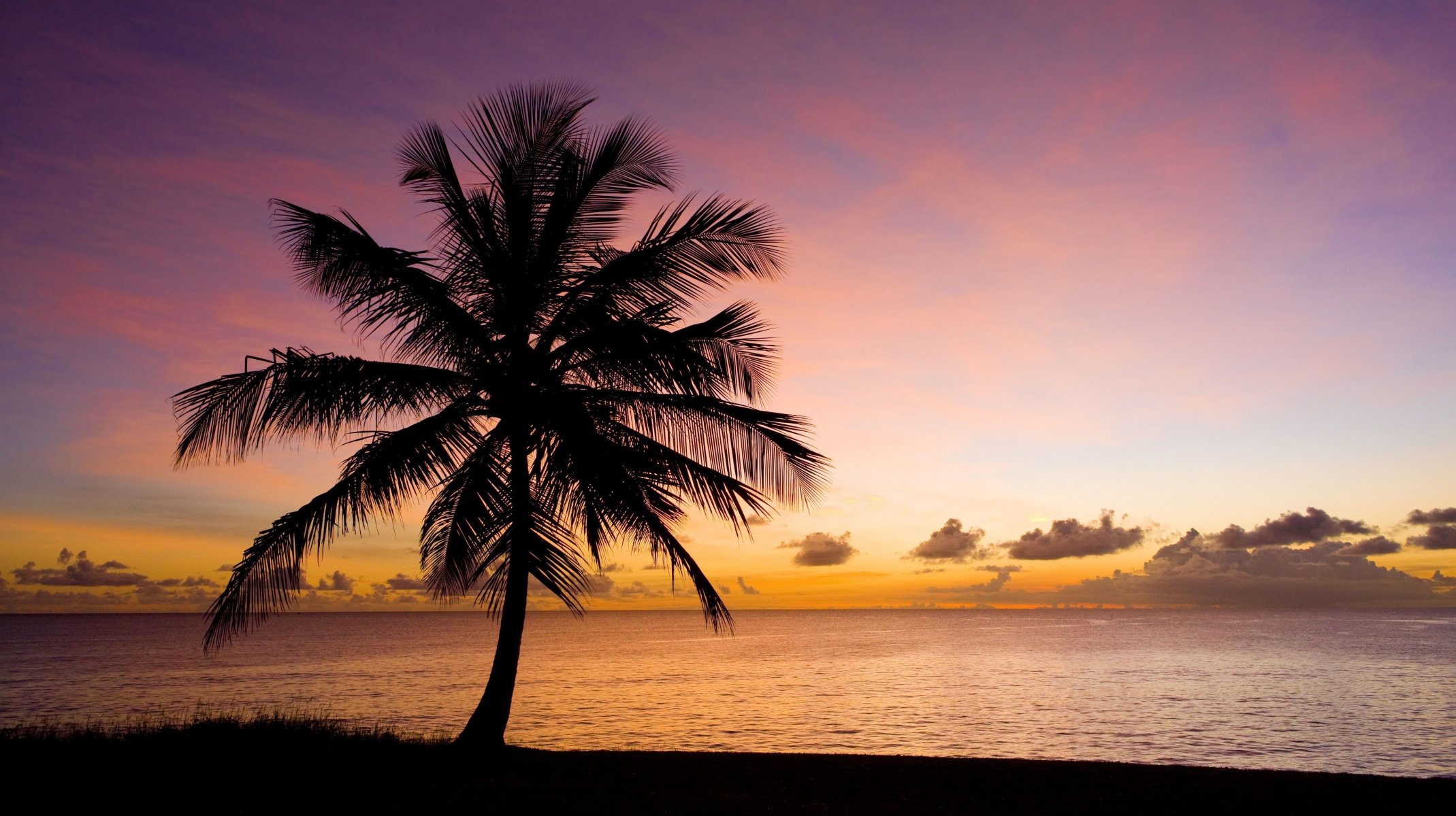 natur baum palme strand sand meer wasser himmel sonnenuntergang silhouette hintergrund tapete widescreen vollbild widescreen