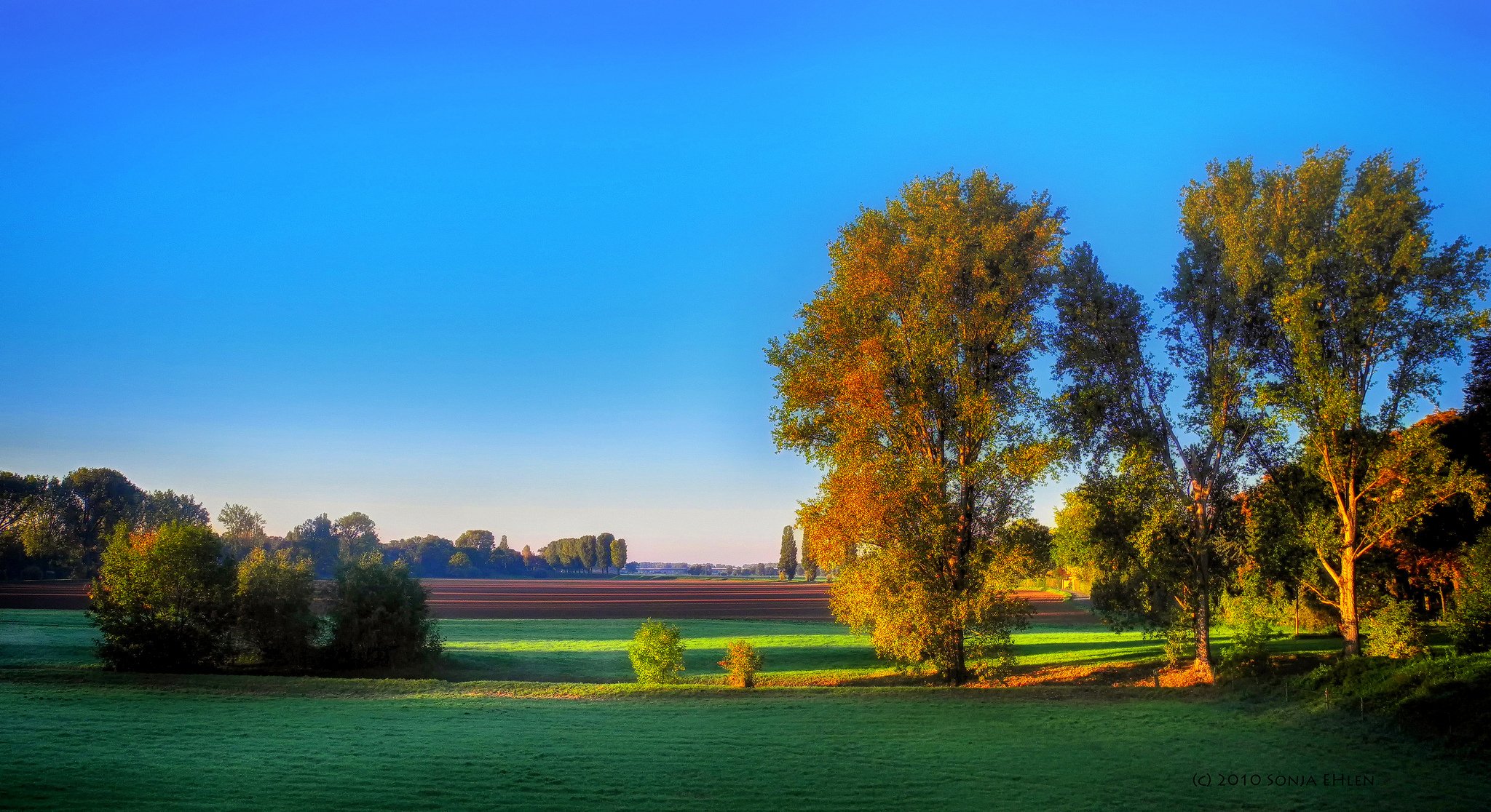 felder bäume morgen herbst