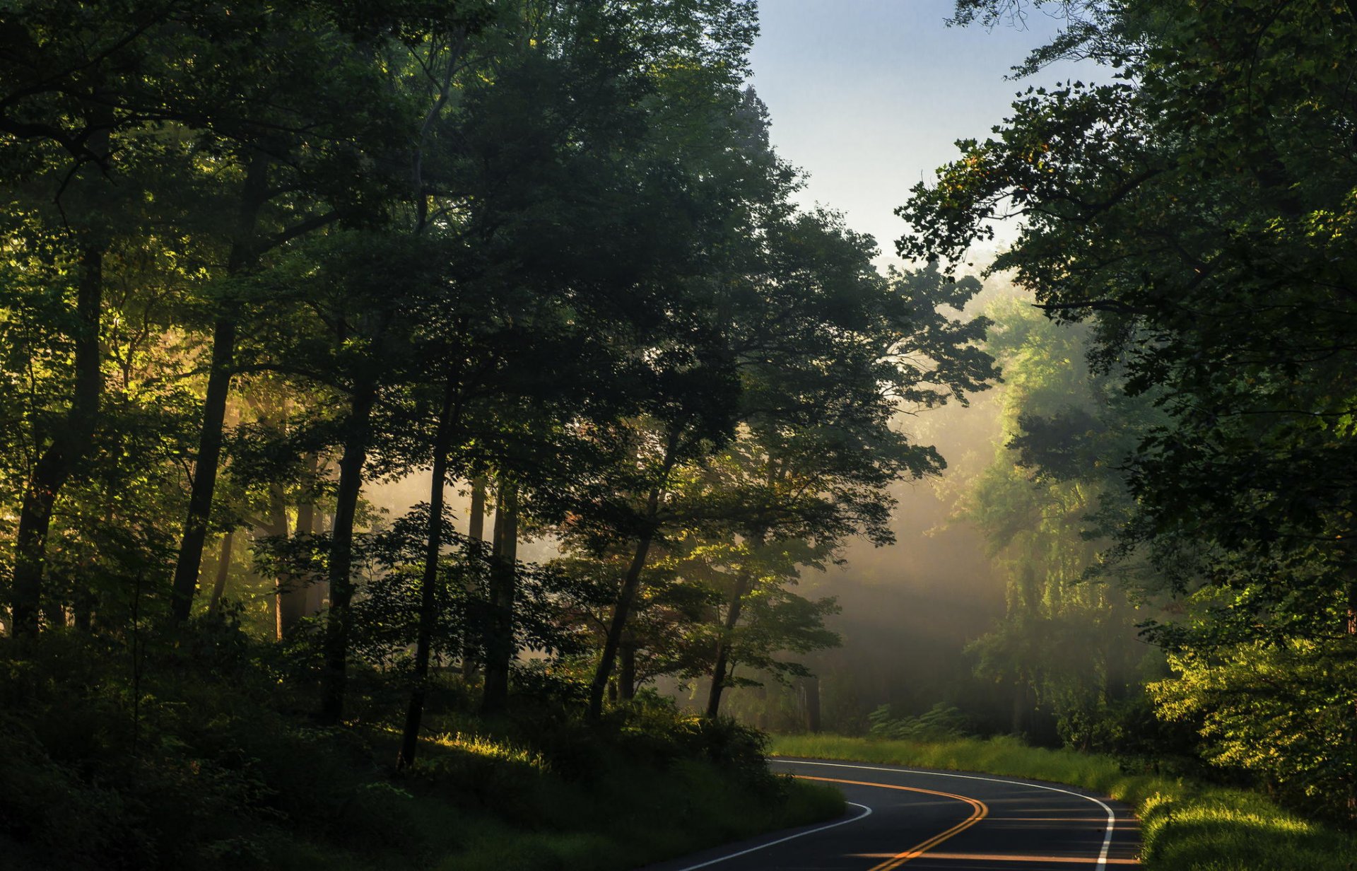 natur wald bäume straße sommer sonne strahlen