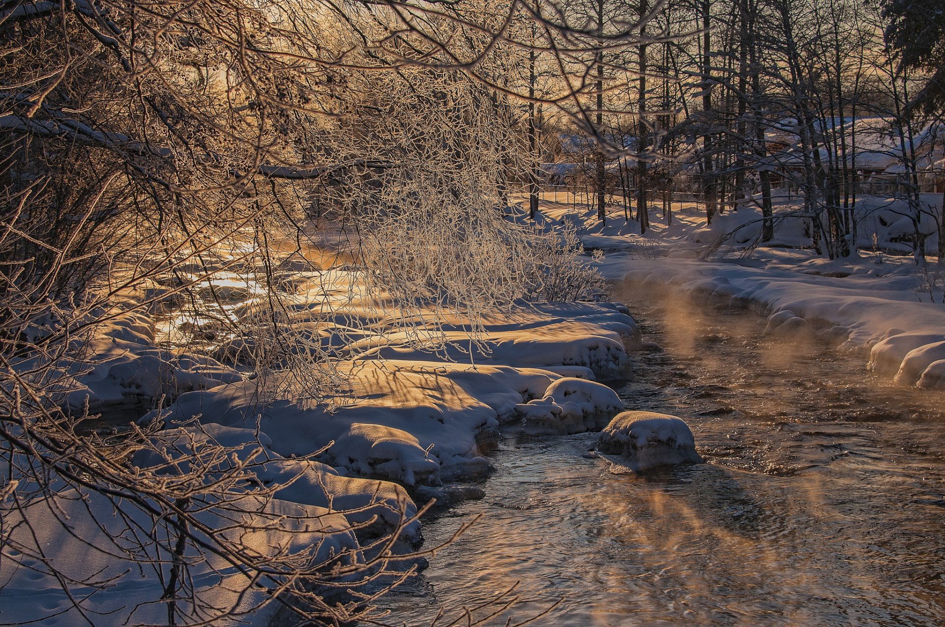 bäume fluss frost schnee winter