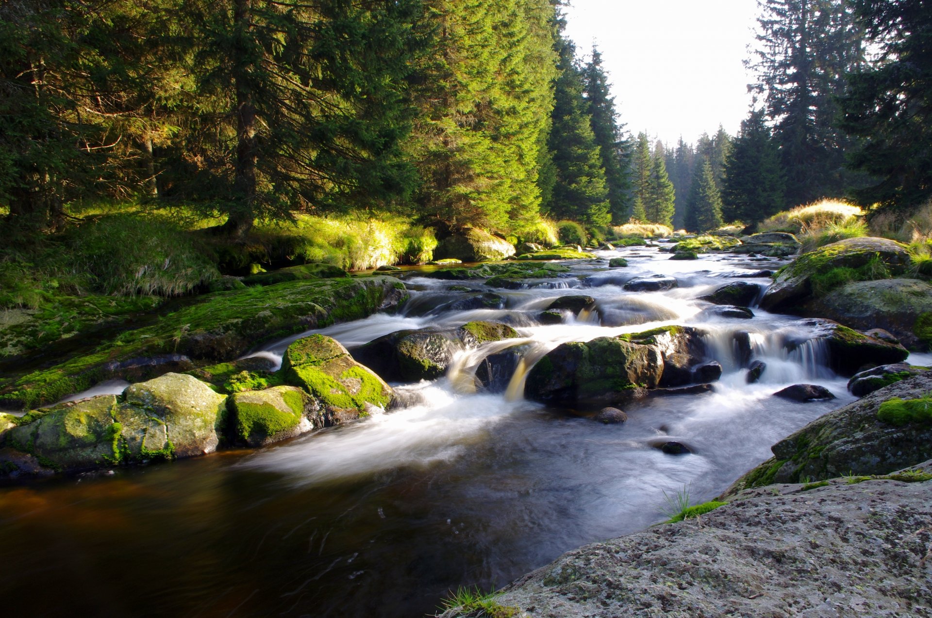 río de montaña bosque naturaleza república checa bohemia šumava narodni park šumava