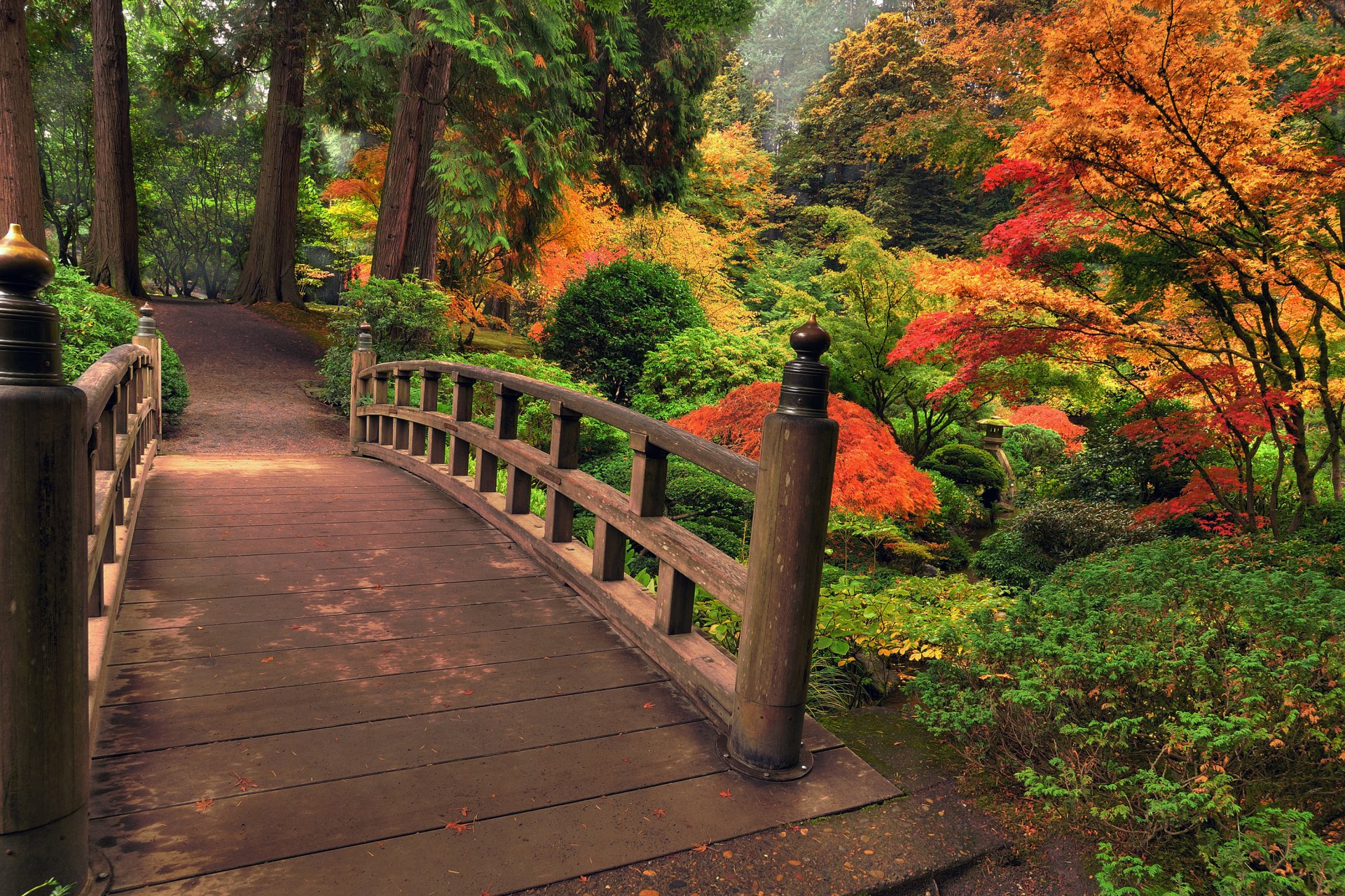 natur park herbst bäume blätter brücke farben bunt blumen schön