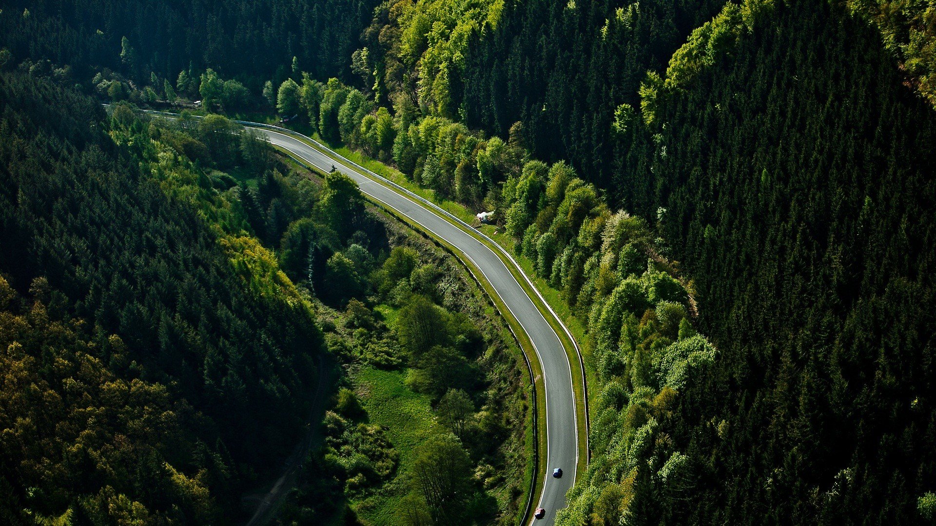 nürburgring route forêt voitures