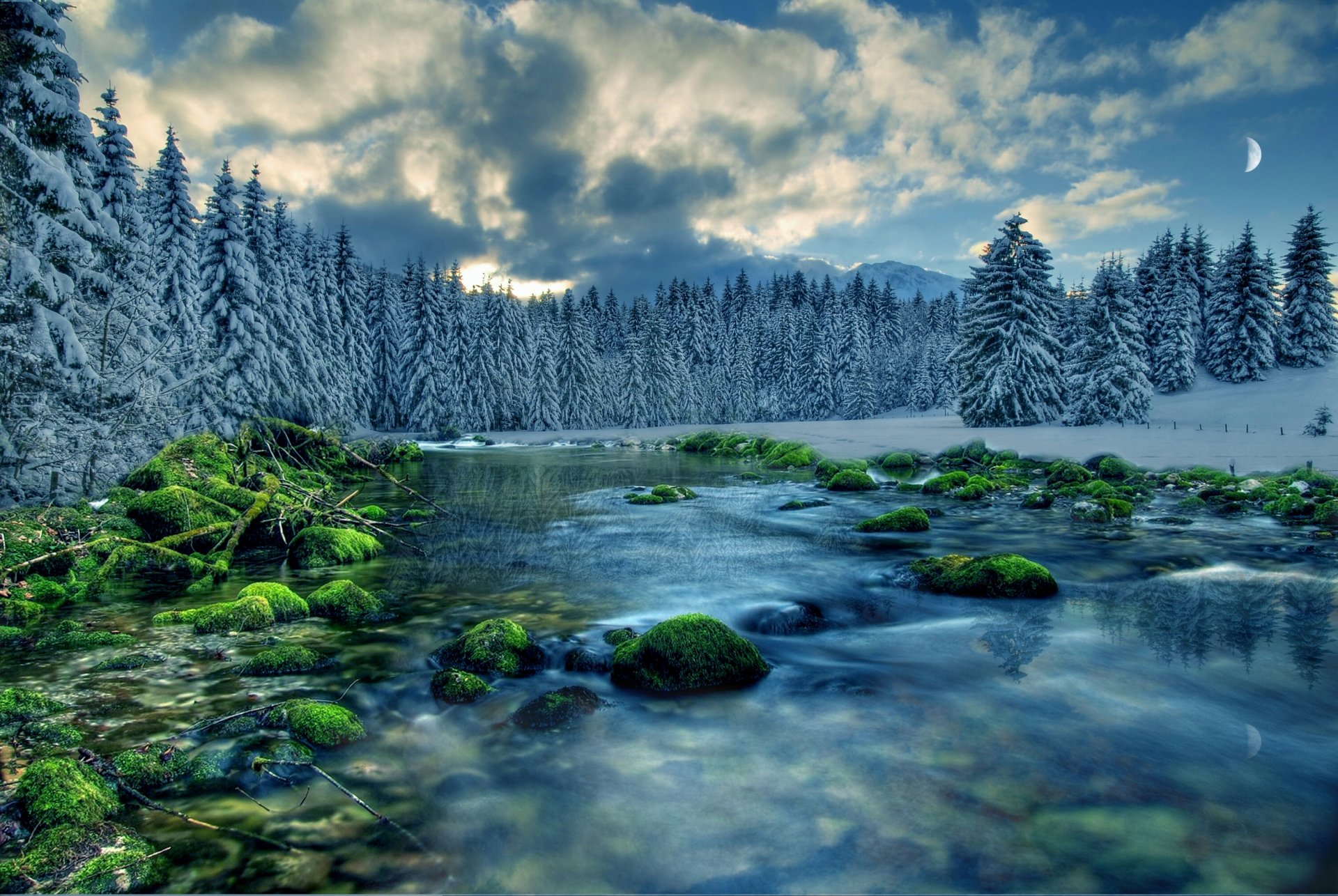 fluss wald bäume himmel wolken schnee steine moos fluss tanne weihnachtsbaum mond