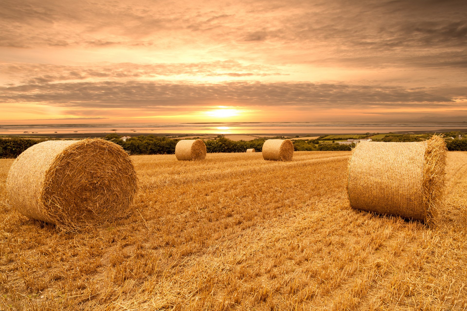 nature landscape field sky clouds sunset wheat view bale