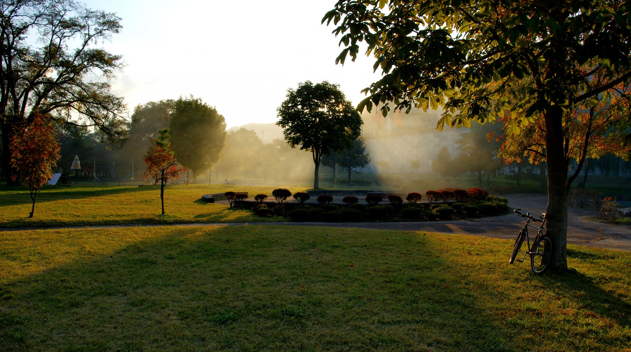 herbst park blätter blumenbeet laub bäume gras baum morgendämmerung sonne strahlen fahrrad blumengarten