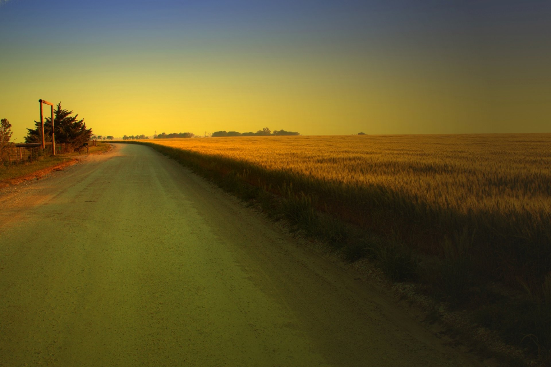 nature landscape tree trees field greenery vegetation path road path background wallpaper widescreen fullscreen widescreen widescreen