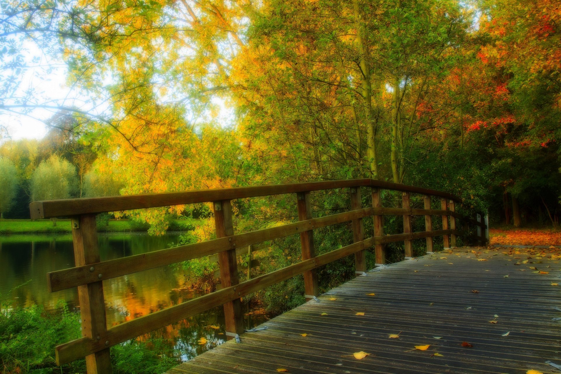 hojas parque callejón árboles bosque otoño paseo hdr naturaleza río agua ver caída puente reflexión vista