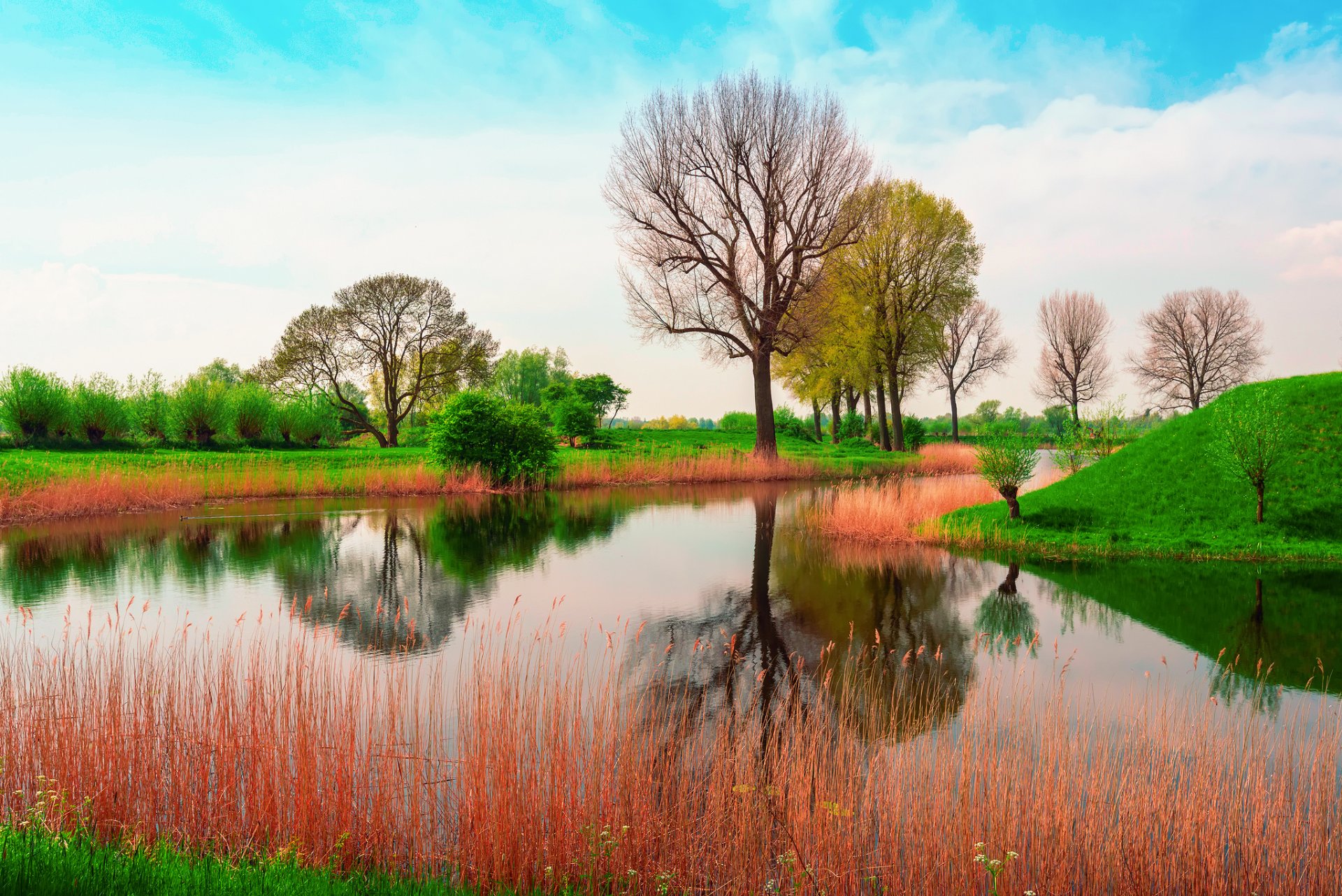 nature angleterre printemps mai