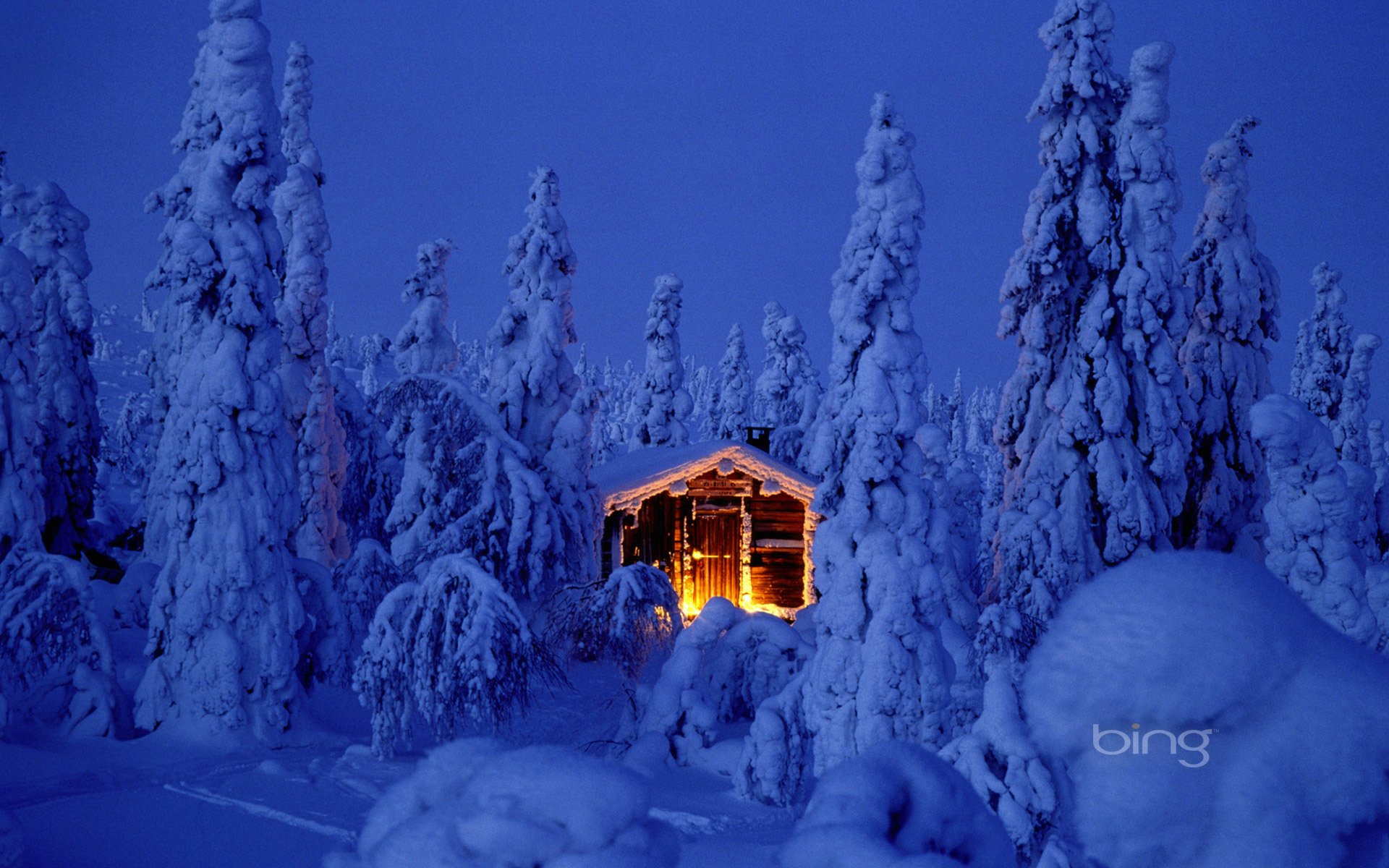 año nuevo navidad abeto árbol de navidad bosque nieve nieve cabaña cabaña luz luces fogata laponia noche cielo naturaleza