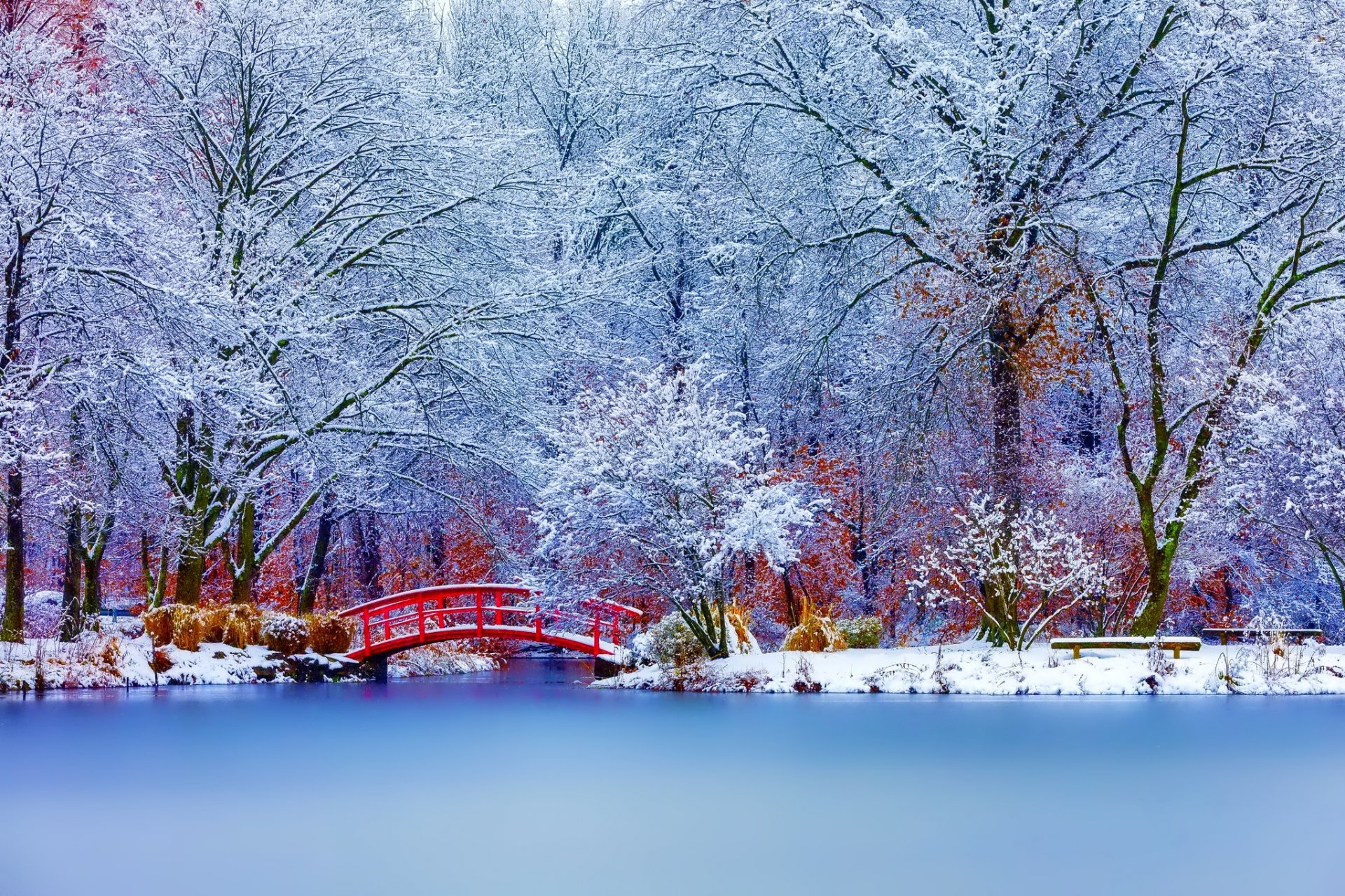 nature paysage hiver neige arbres