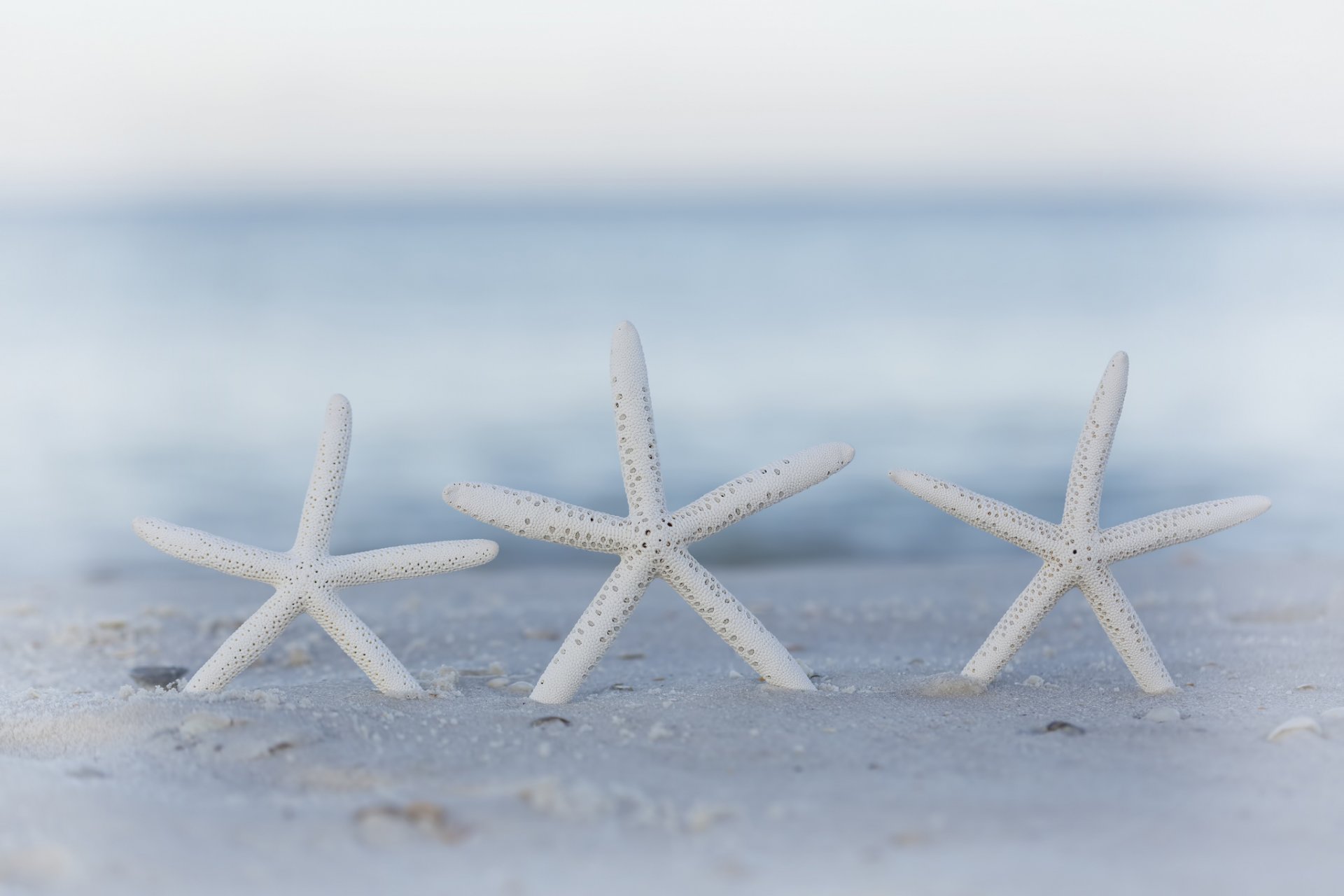 beach sand bokeh