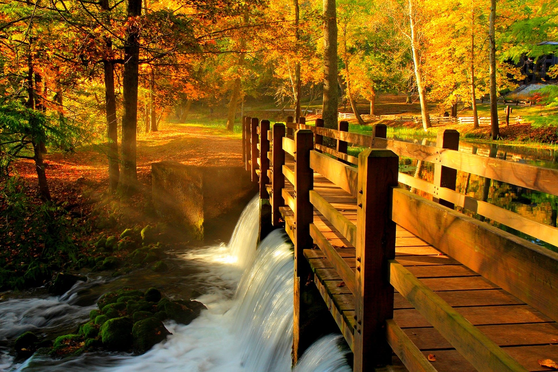 liście park aleja drzewa las jesień spacer hdr natura rzeka woda widok upadek most odbicie widok