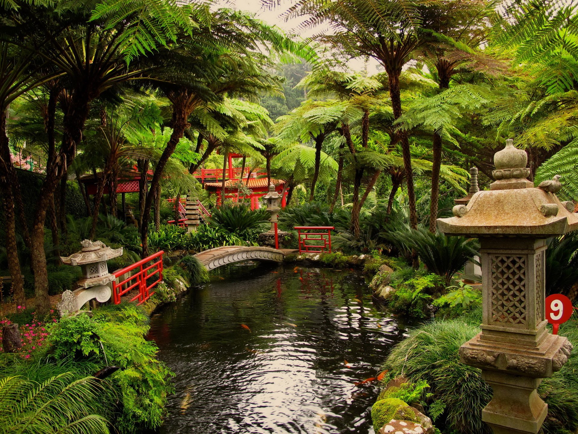 japanese gardens pond