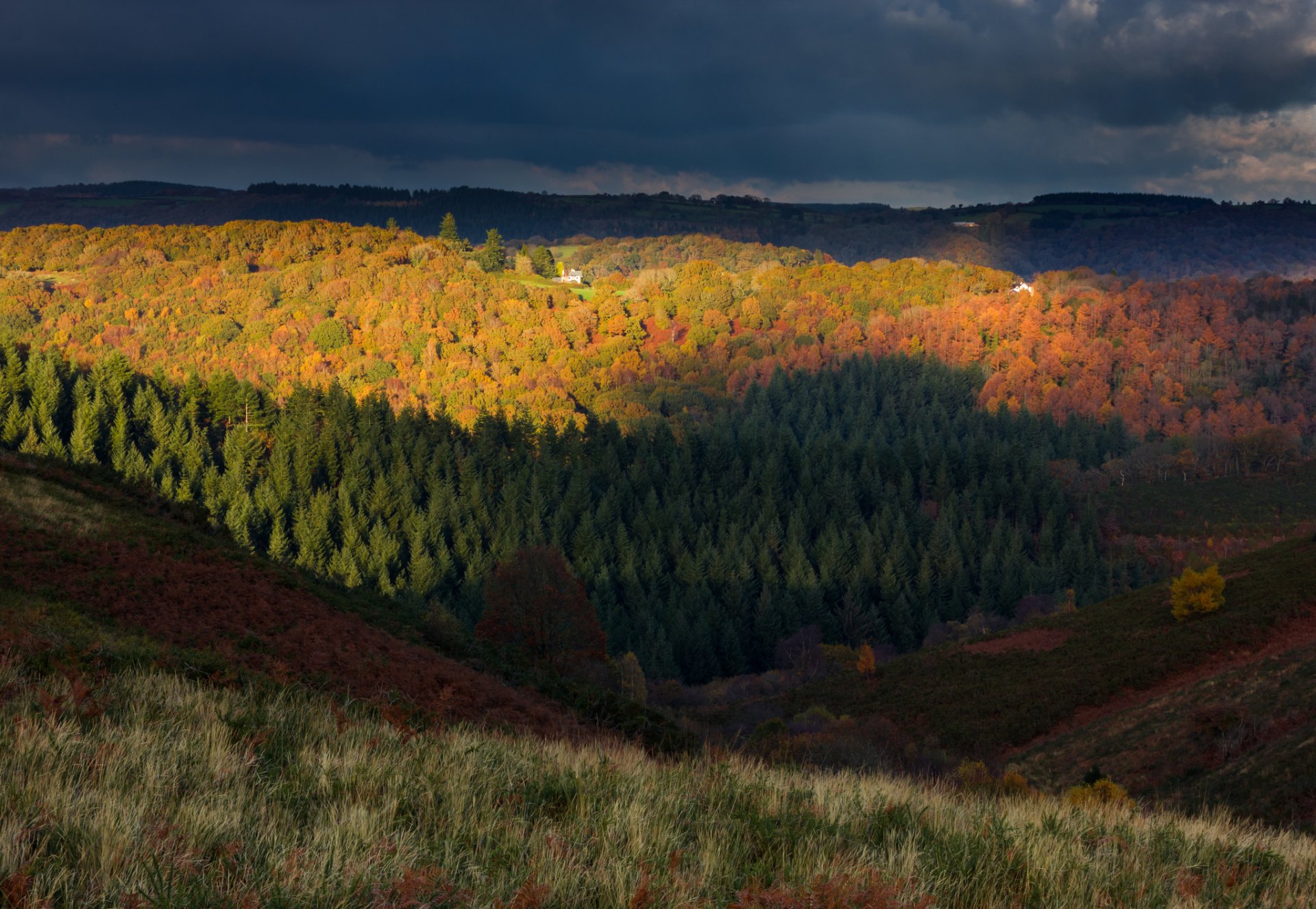 royaume-uni angleterre dartmoor parc national automne forêt collines arbres soirée ciel nuages