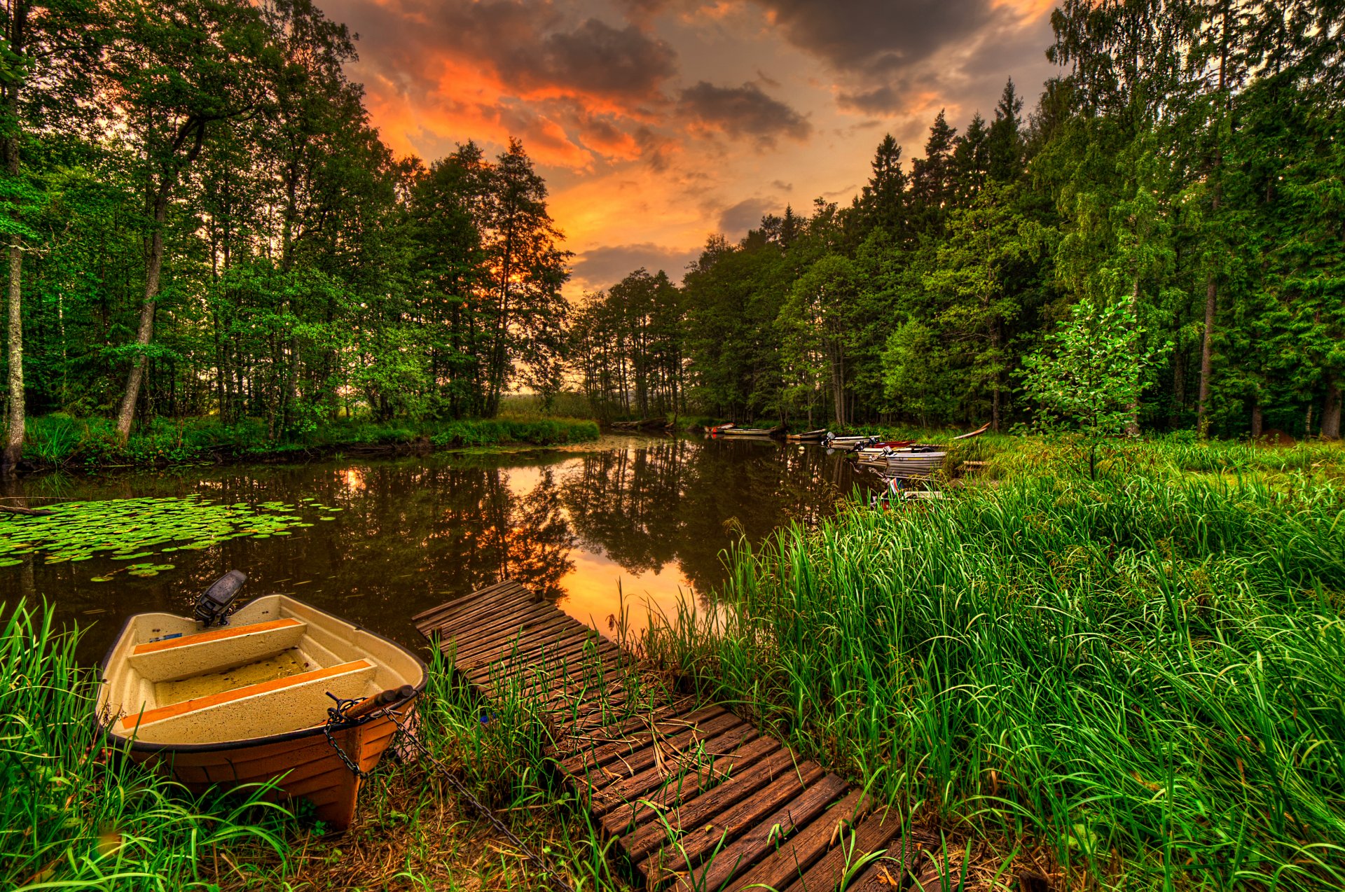 paysage vue forêt herbe lac eau réflexion ciel coucher de soleil nature vue